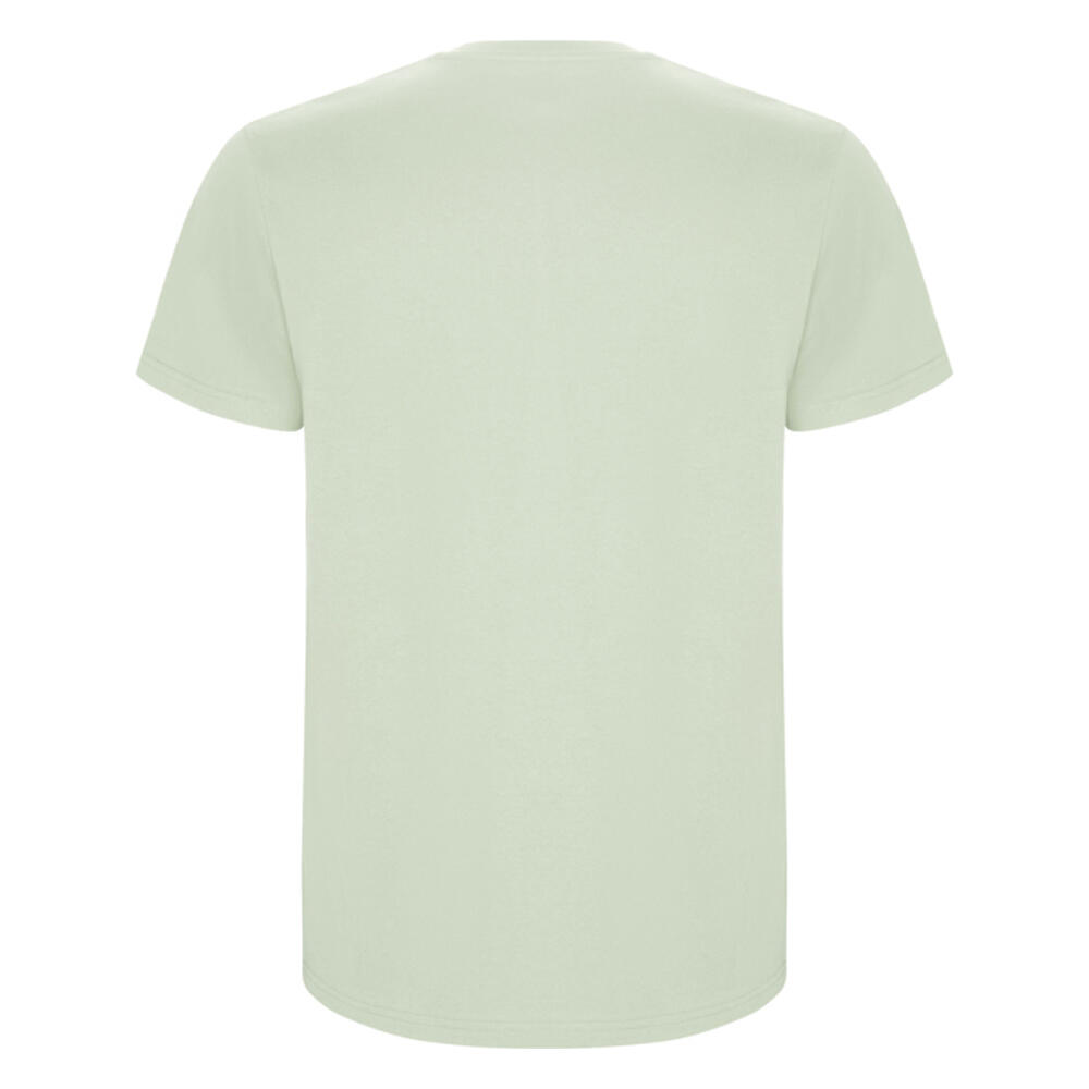 Tshirt STAFFORD Homme (Vert Brume) 2/4