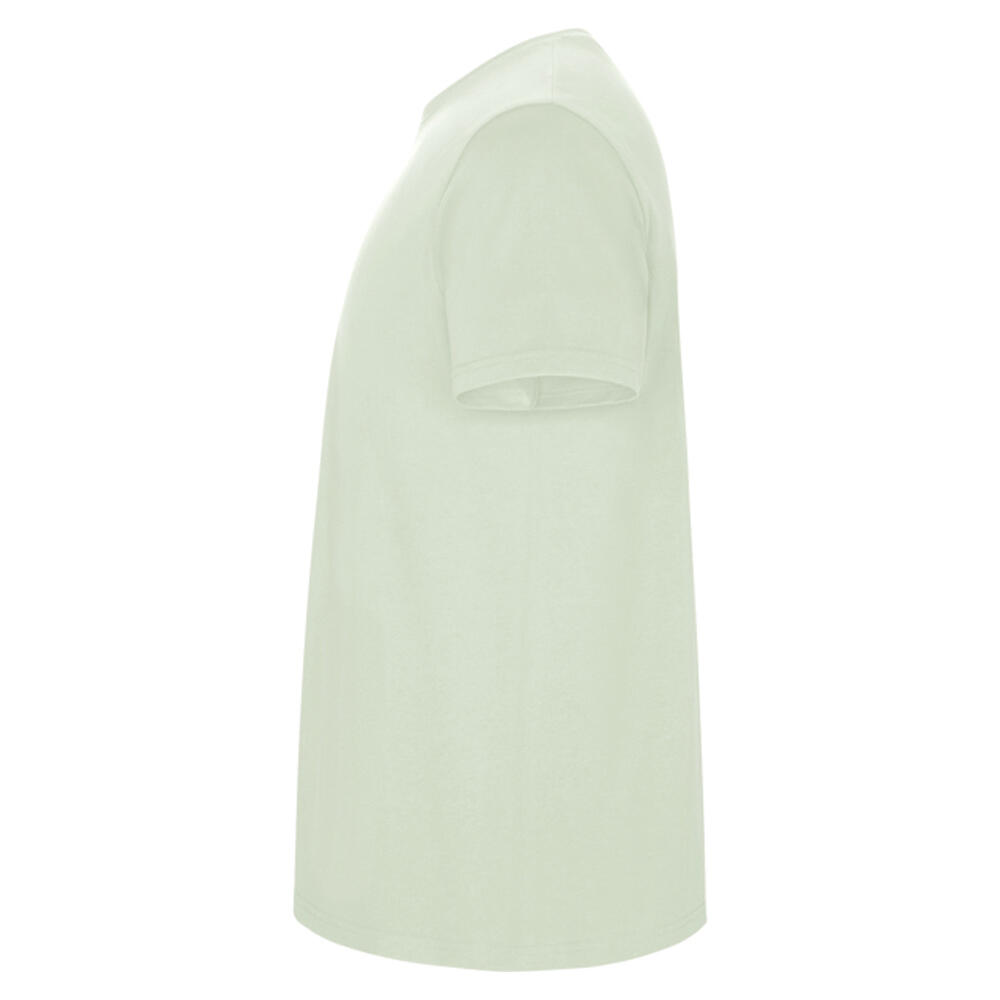 Tshirt STAFFORD Homme (Vert Brume) 3/4