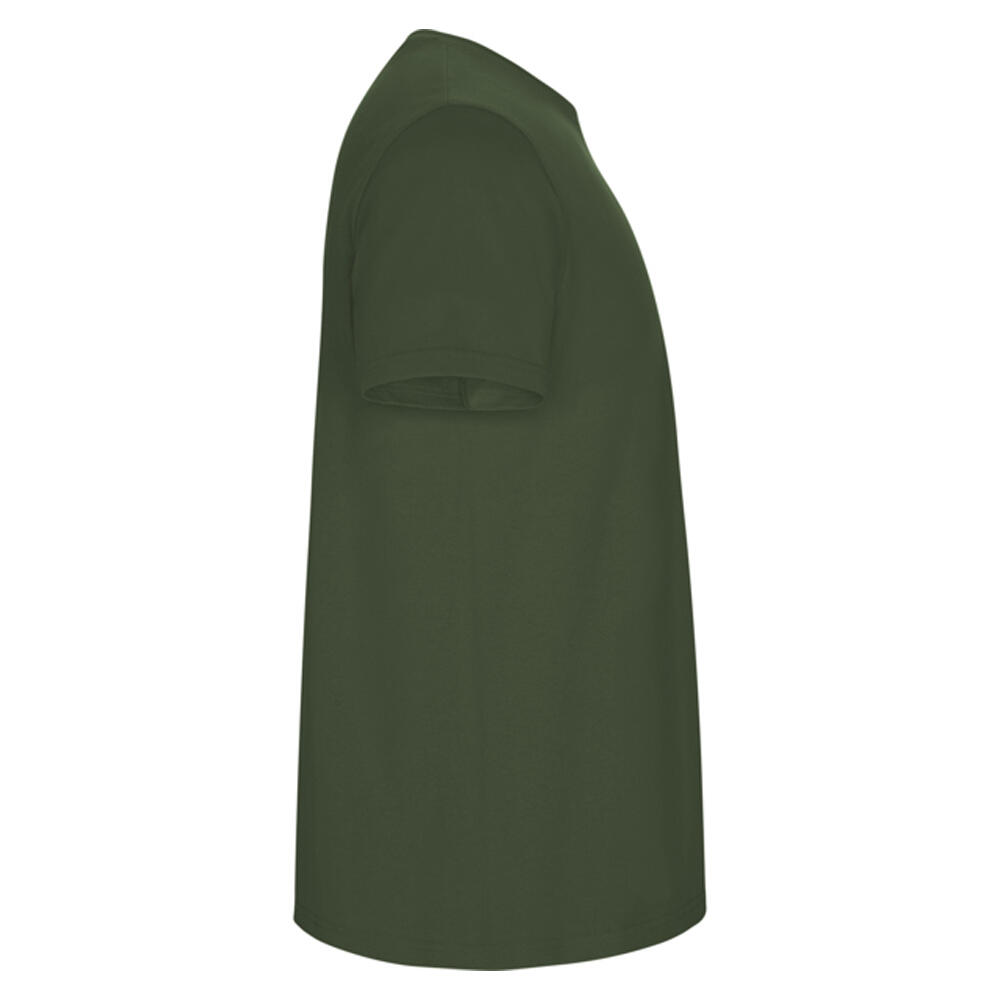 Tshirt STAFFORD Homme (Vert) 4/4