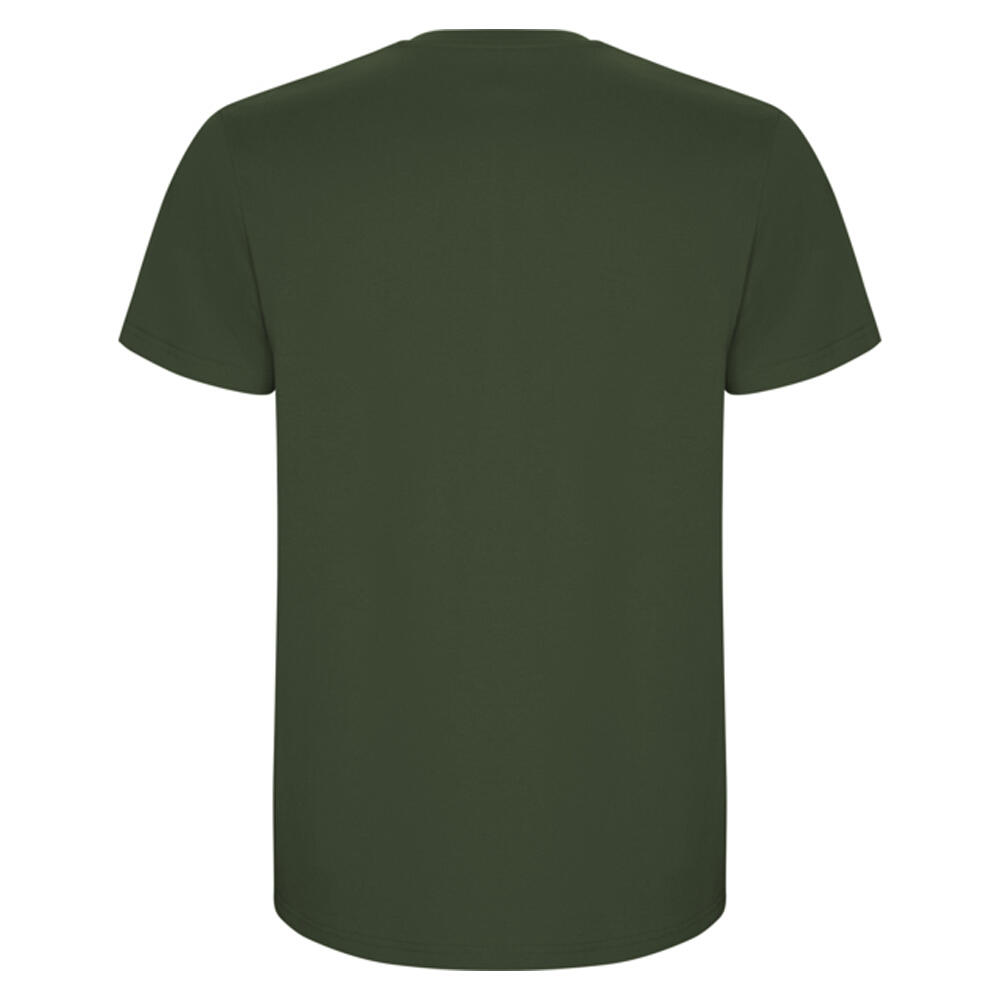 Tshirt STAFFORD Homme (Vert) 2/4