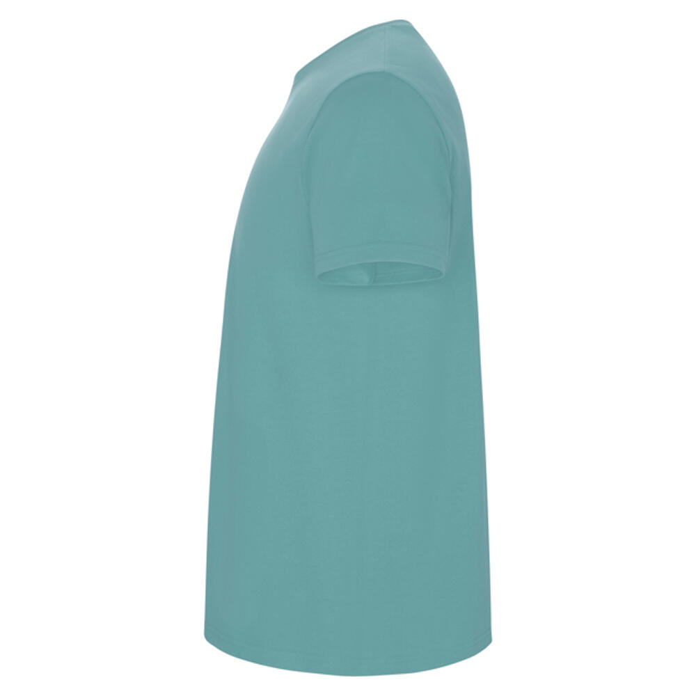 Tshirt STAFFORD Homme (Vieux Bleu) 3/4