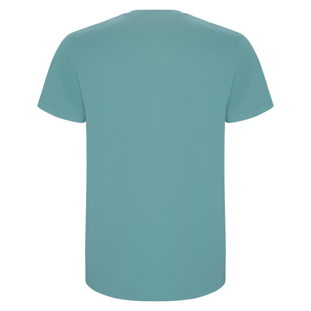 Tshirt STAFFORD Homme (Vieux Bleu) 2/4