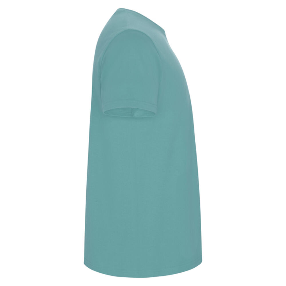 Tshirt STAFFORD Homme (Vieux Bleu) 4/4