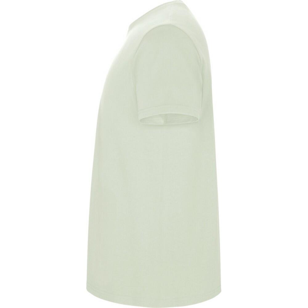 Tshirt STAFFORD Homme (Vert Brume) 3/4