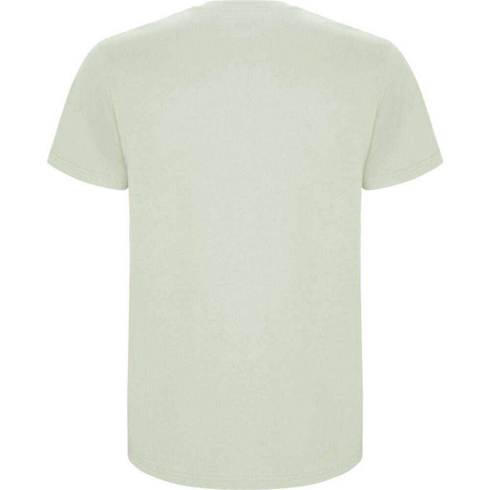Tshirt STAFFORD Homme (Vert Brume) 2/4