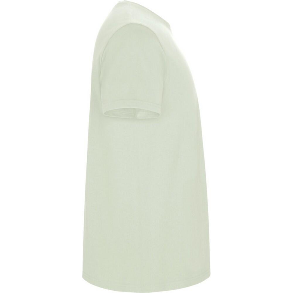 Tshirt STAFFORD Homme (Vert Brume) 4/4