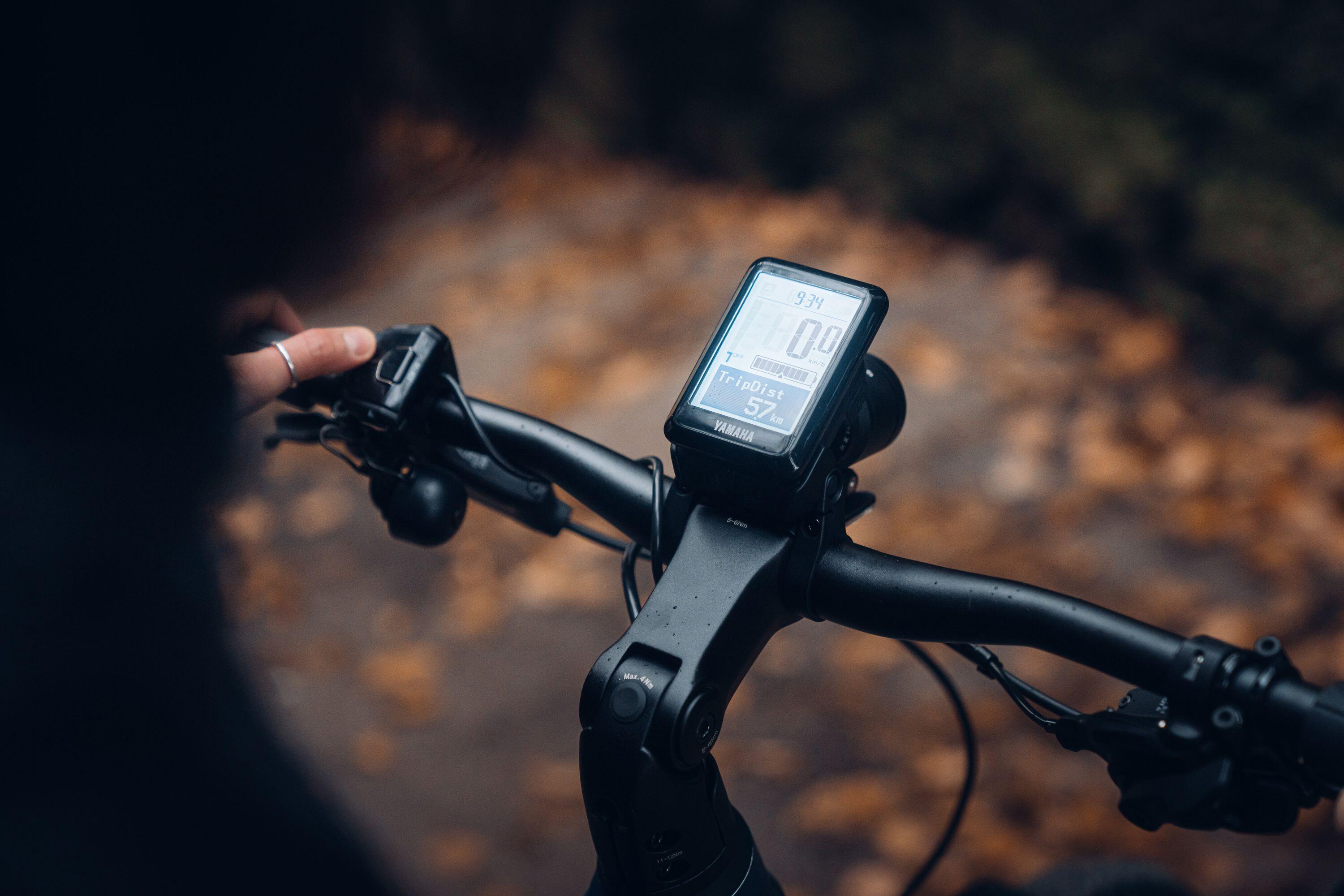E-Bike Pather 2 27,5 Zoll 11-Gang Pedelec Trekking Touren Elektrofahrrad Herren 3/3