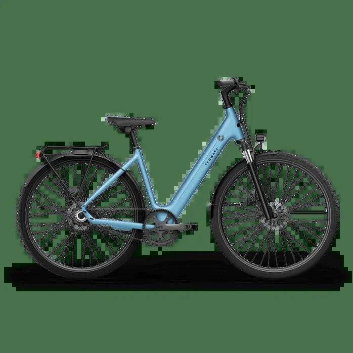Electric bike Tenways CGO800S