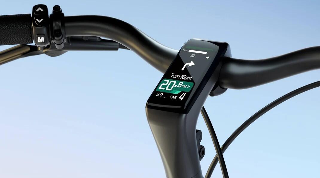 Bicicletta elettrica Tenways CGO800S 5/6