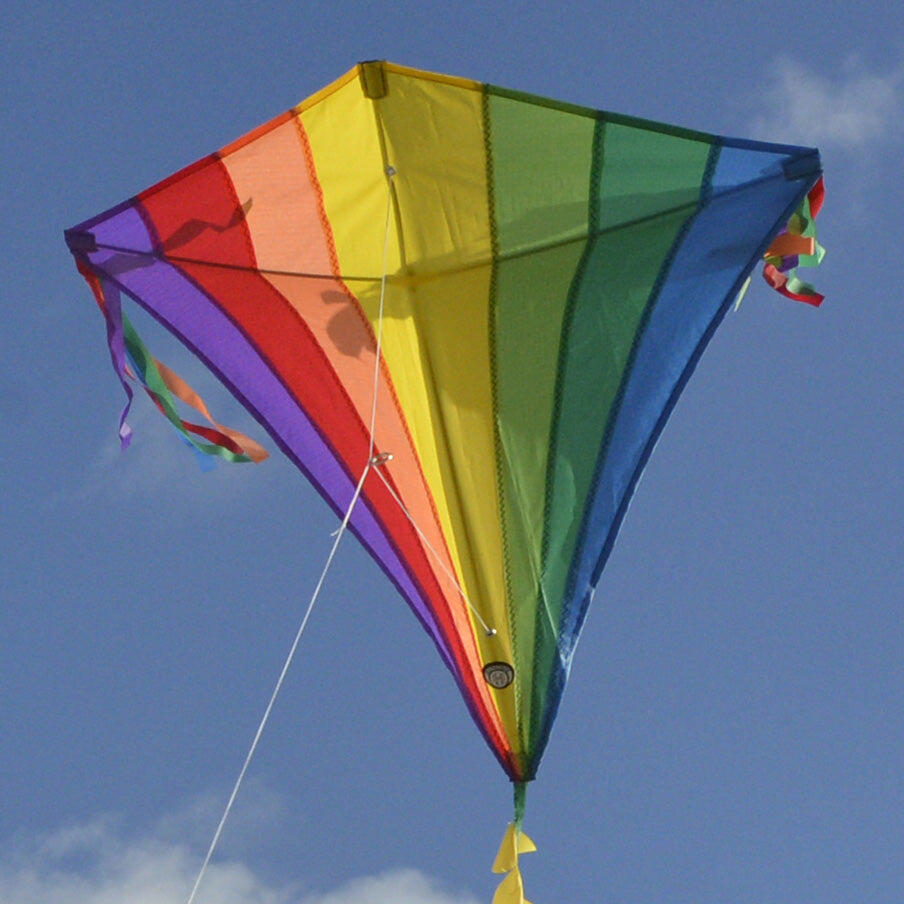 Pipa infantil Spiderkites Eddy Rainbow 40009 3/5