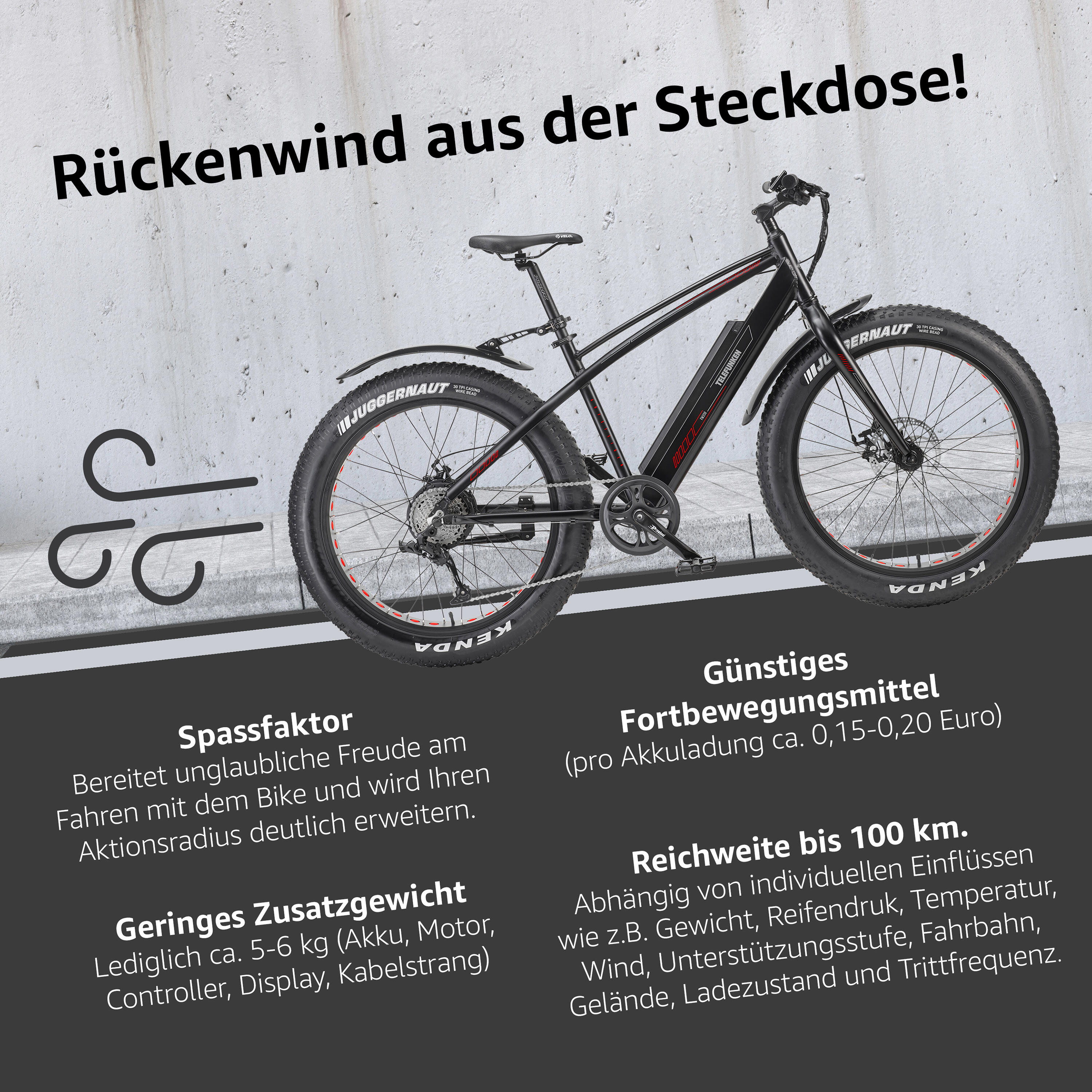 E-Bike FM350 26 Zoll 8-Gang Pedelec Fatbike Mountainbike E-MTB 576 Wh schwarz 6/6