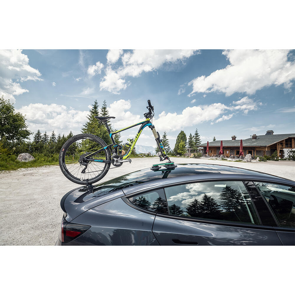 Porte-vélos TreeFrog Pro 1 polycarbonate 3 ventouses 9-15x100 mm 7/7