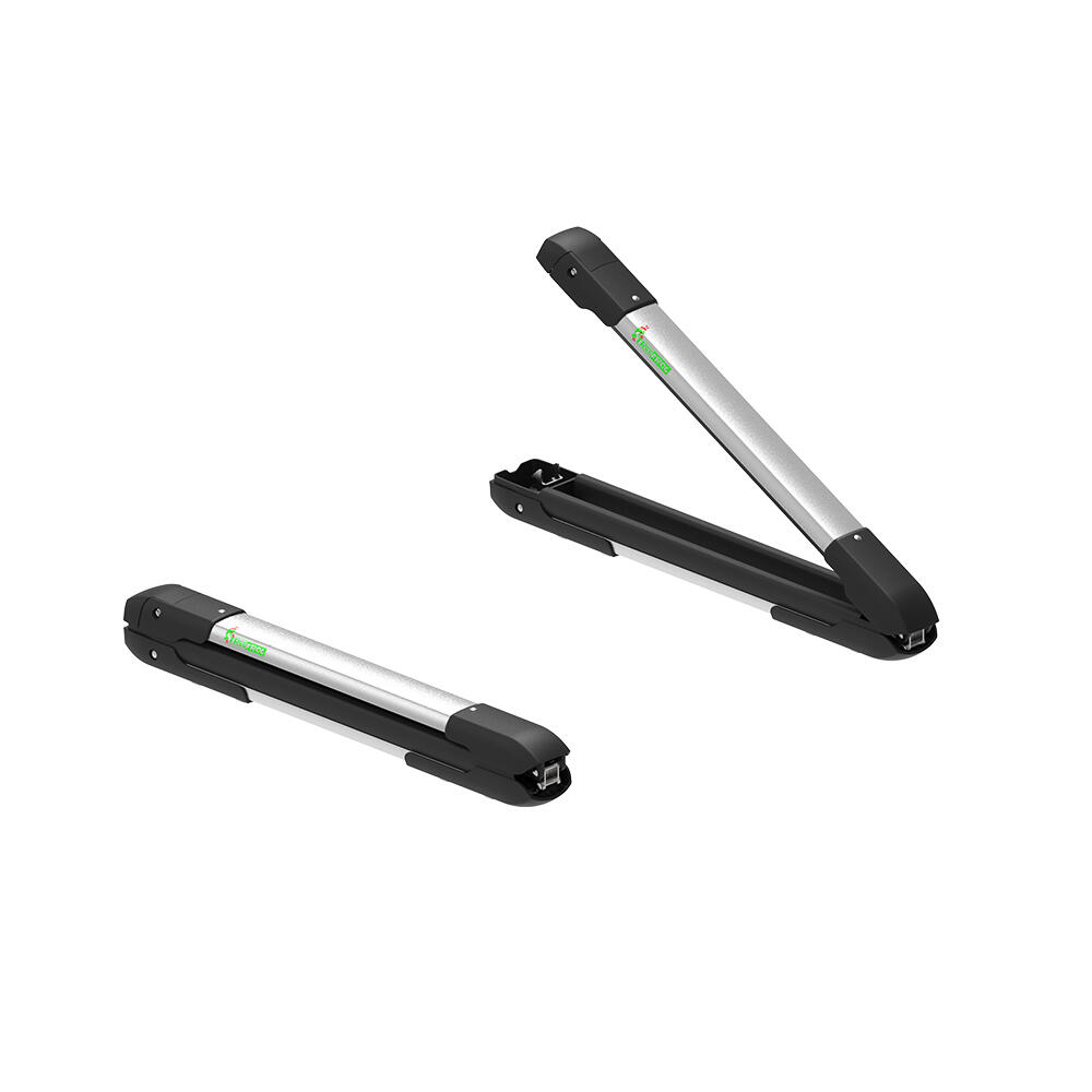 TREEFROG TreeFrog 365 Ski Rack for 2 Pairs or 1 Snowboard, Rubber