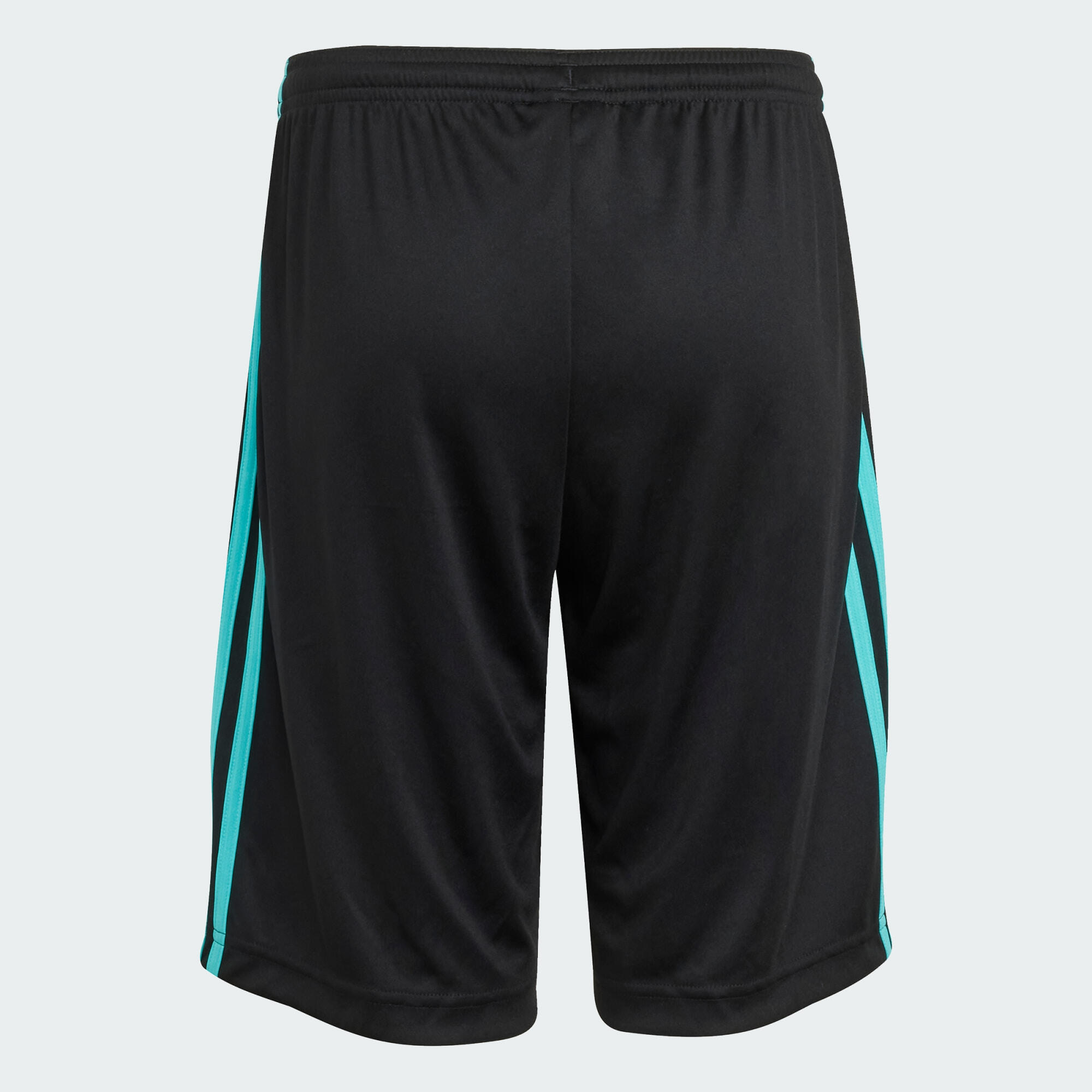 SHORT MERCEDES - AMG PETRONAS FORMULA ONE TEAM DNA 4/5