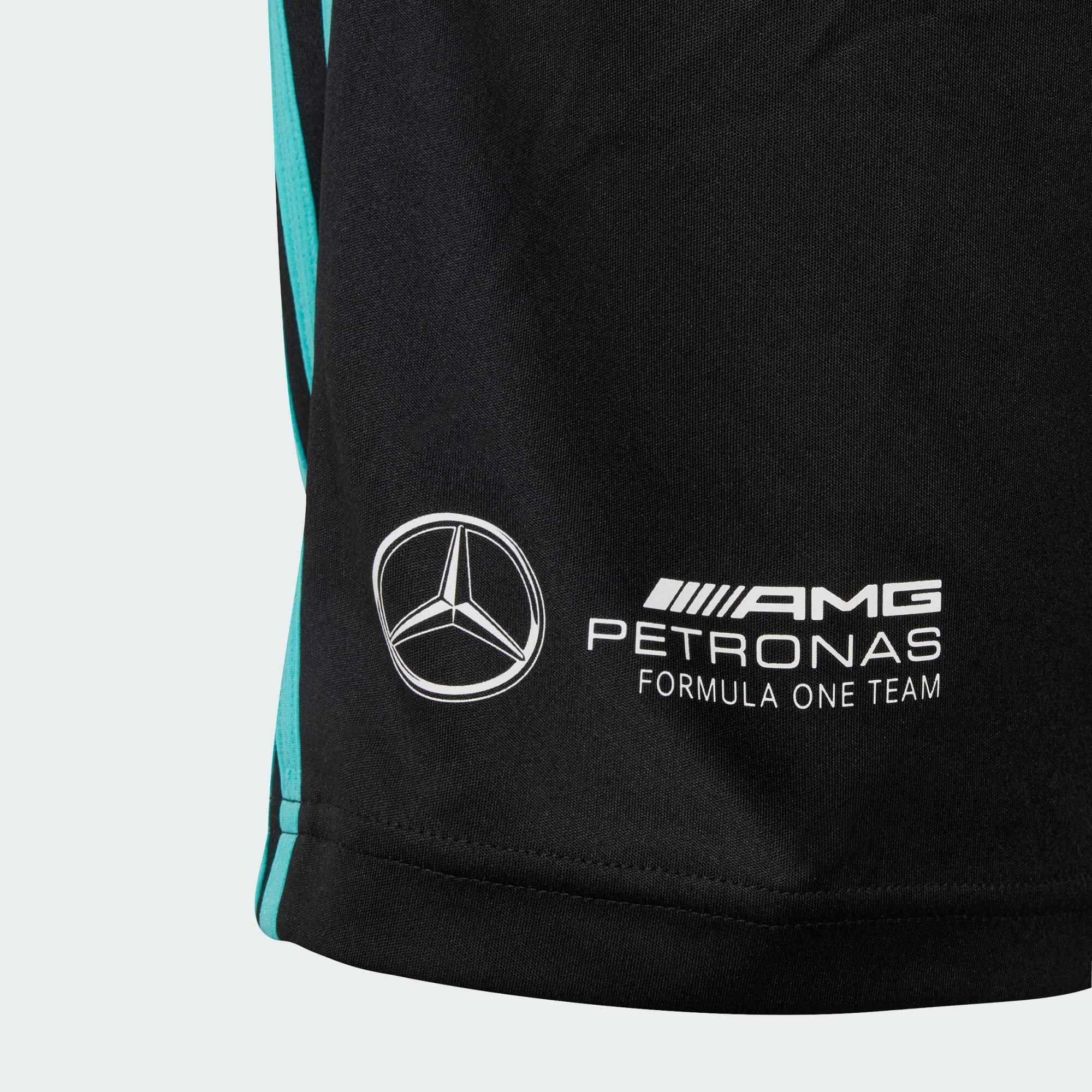 SHORT MERCEDES - AMG PETRONAS FORMULA ONE TEAM DNA 3/5
