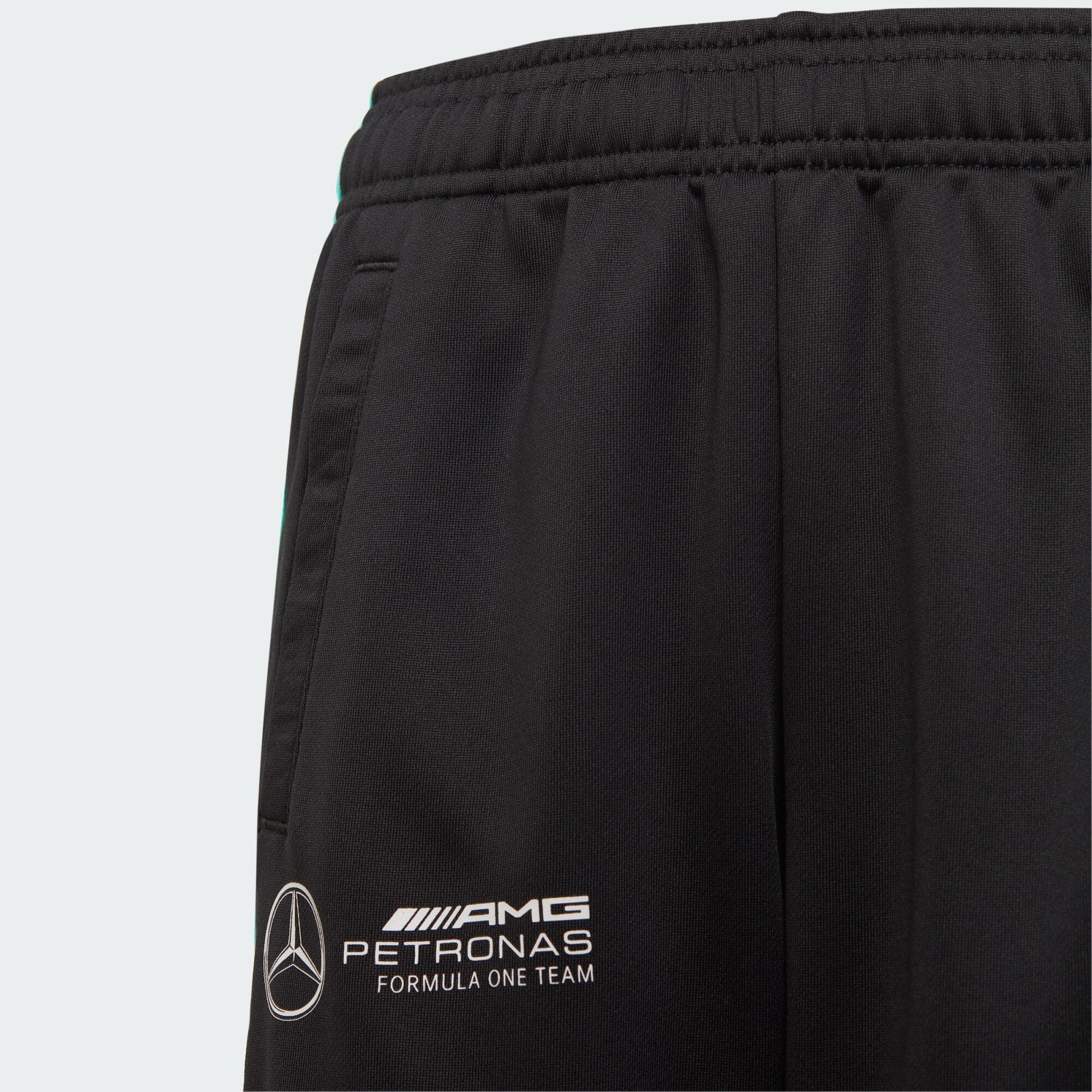 MERCEDES - AMG PETRONAS FORMULA ONE TEAM DNA PANT 2/5