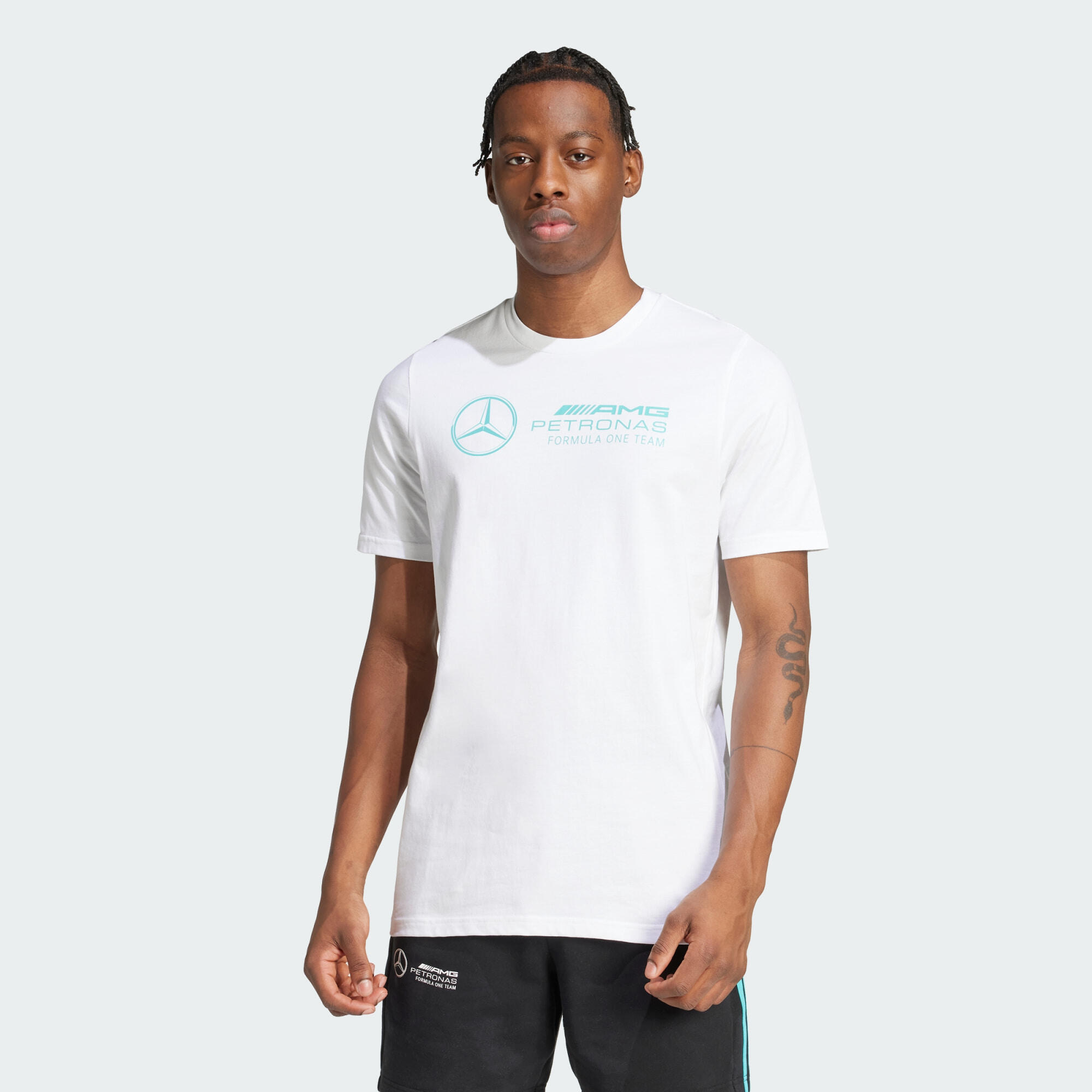 white / turquoise