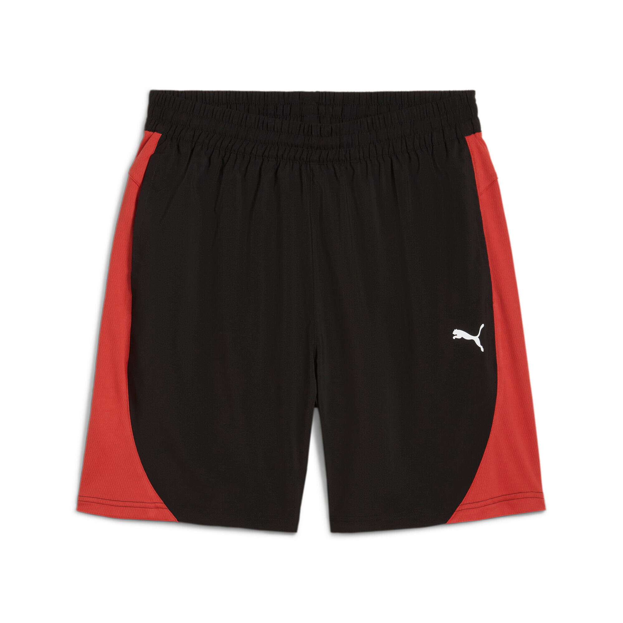 PUMA picture