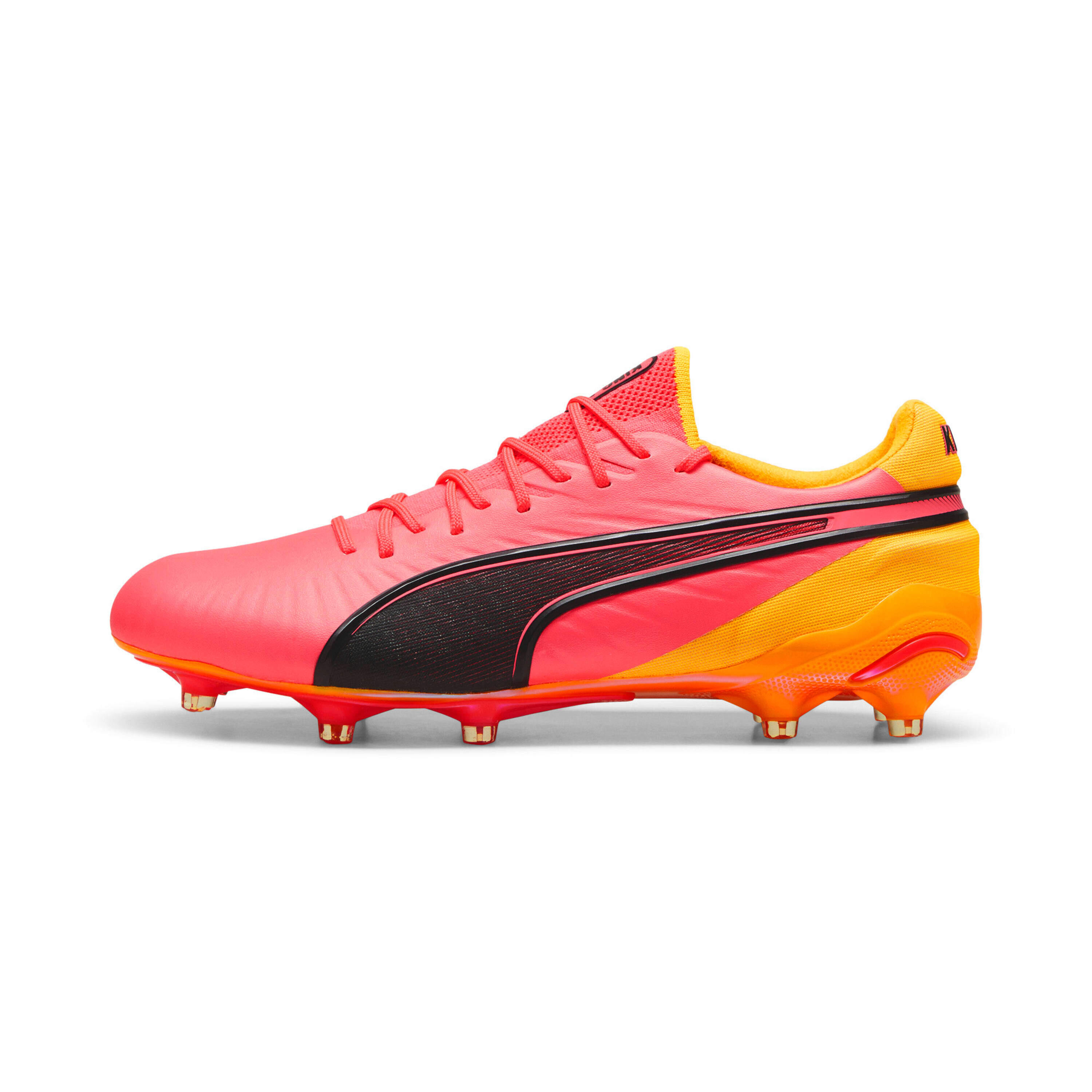 PUMA picture