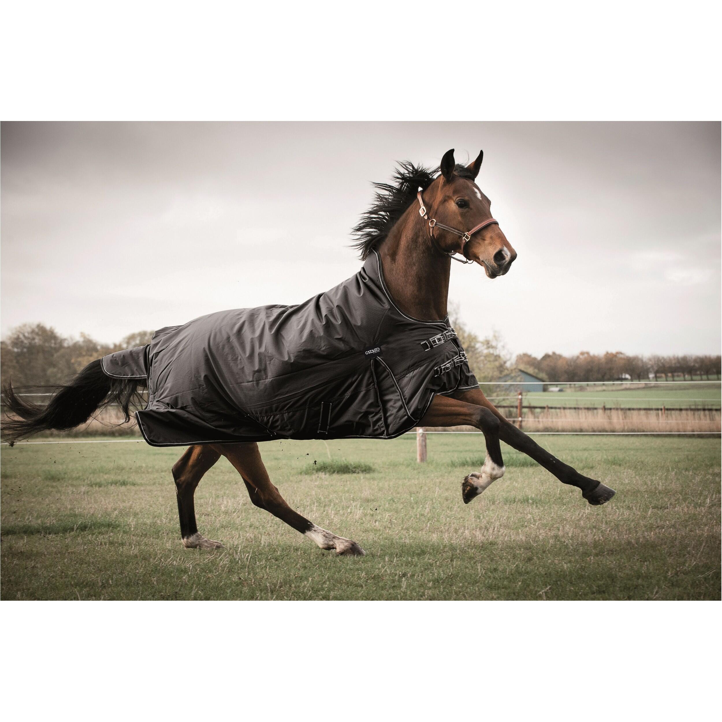 Couverture De Pluie (Regendecke) Pour Cheval QHP - Taille 100-165 Cm - 600D Polyester, Rembourrage 150g, Imperméable
