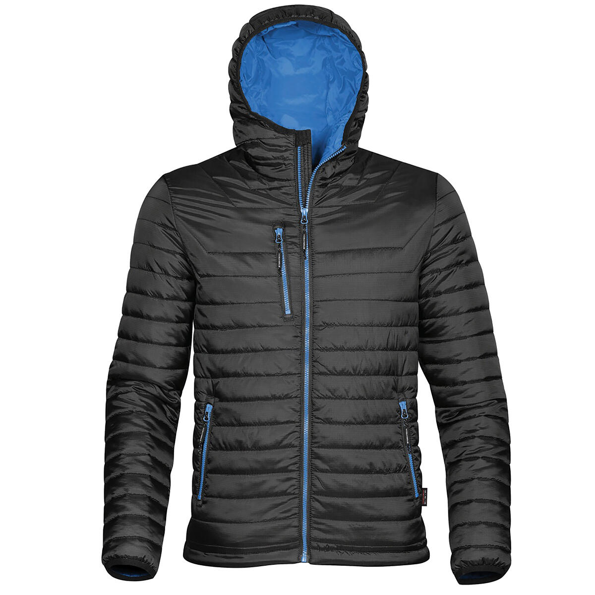 black / cornflower blue