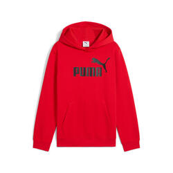 Sweatshirt à capuche enfant Puma No. 1