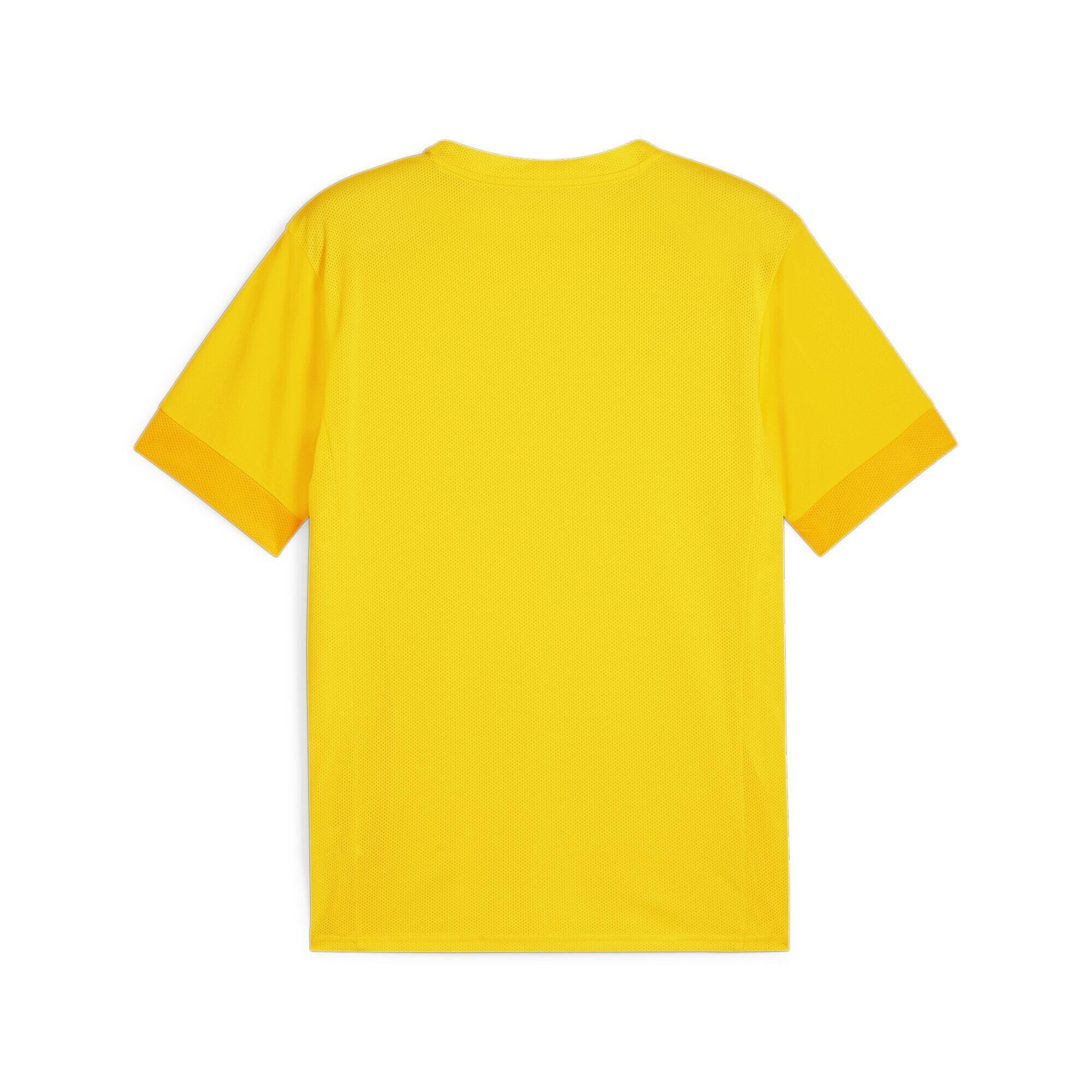 Maillot Puma TeamGoal 2/2