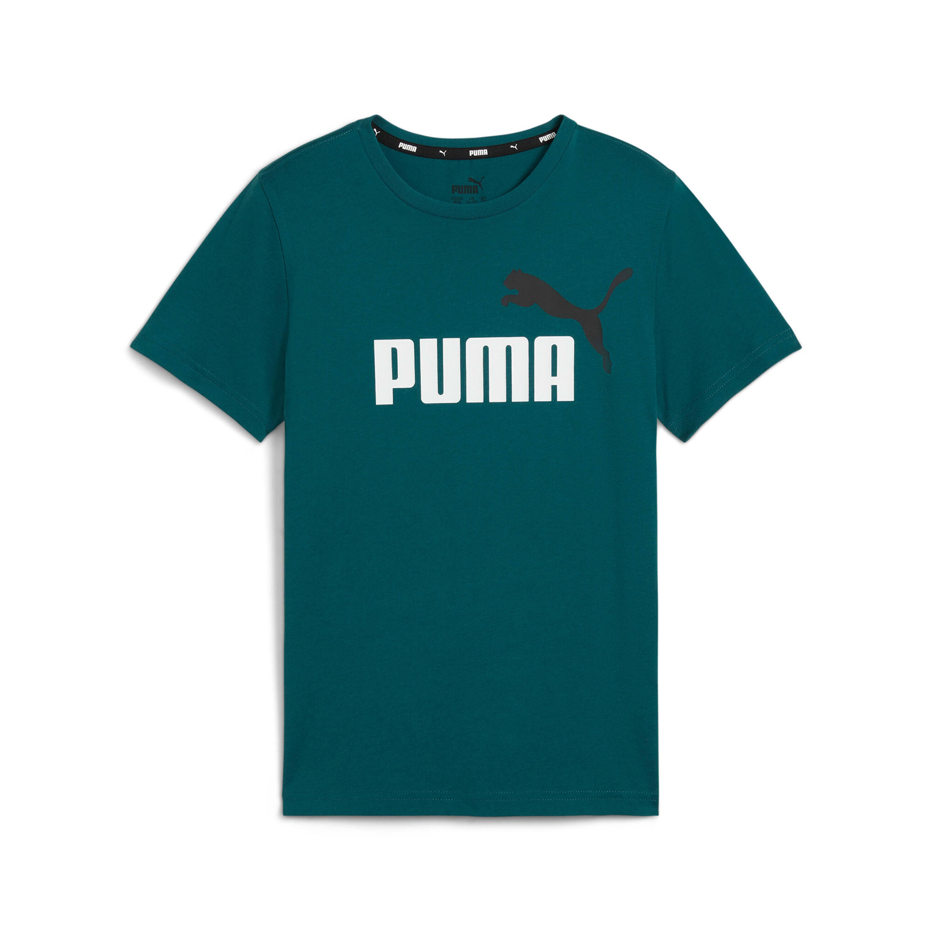 PUMA picture
