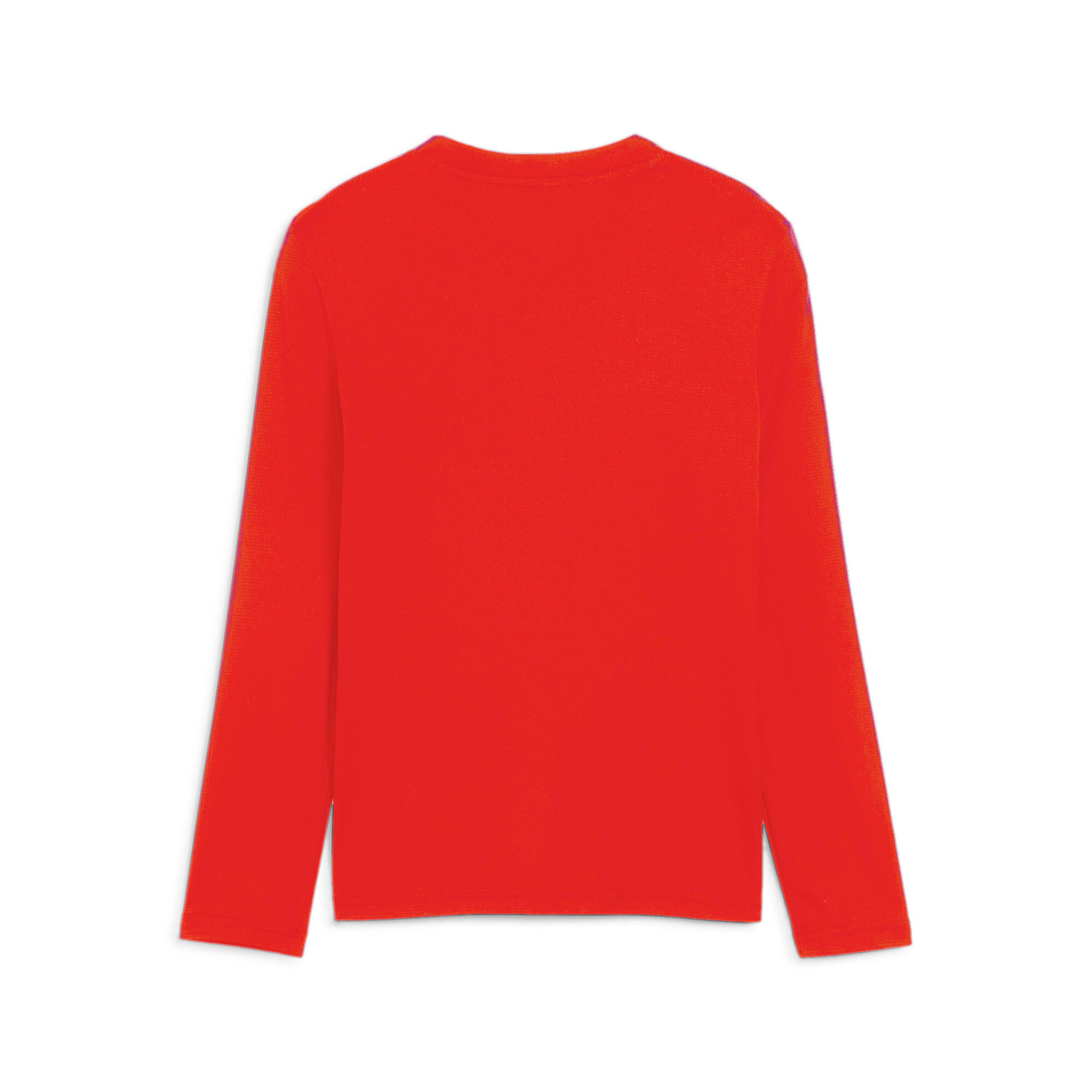 Long sleeve T-shirt Puma TeamGoal Baselayer 2/2