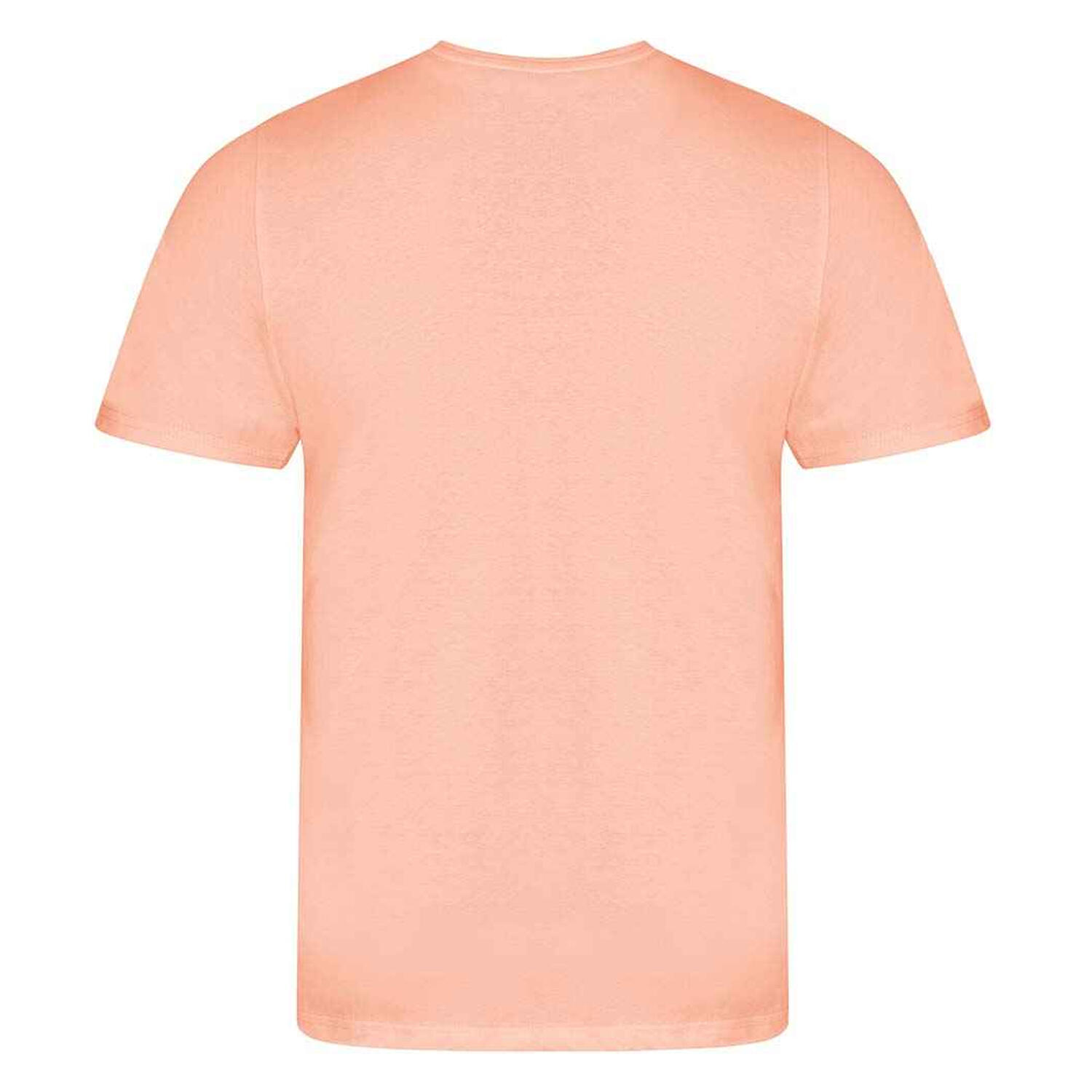 Tshirt CASCADE Homme (Corail Pâle) 2/2