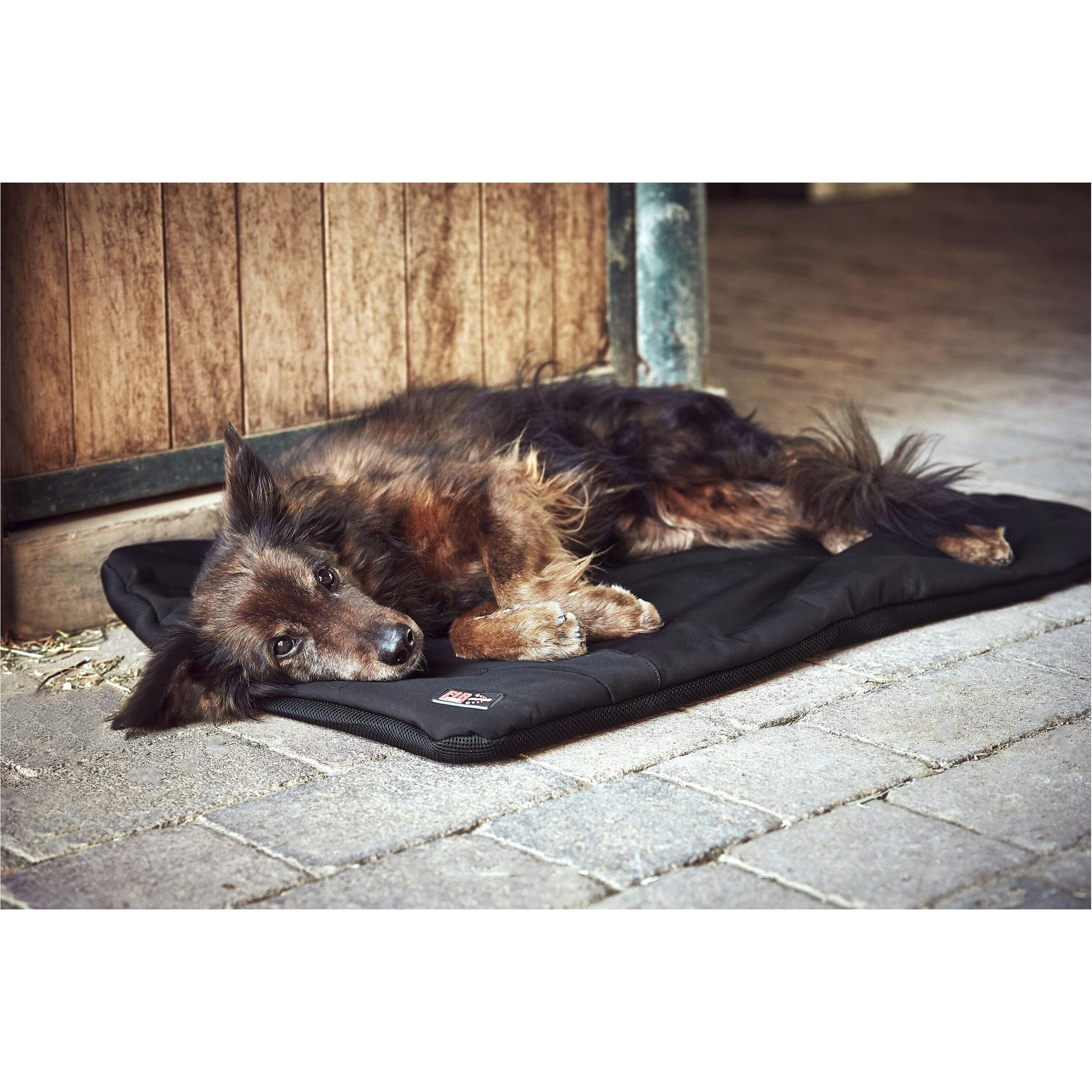 Hundekissen Catago Fir-Tech Pro 2/5