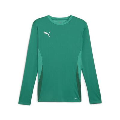Puma Herren Langarm Shirt teamGOAL LS Jersey 705750