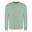 Camisola Unisexo para Adultos Lisos Dusty Green