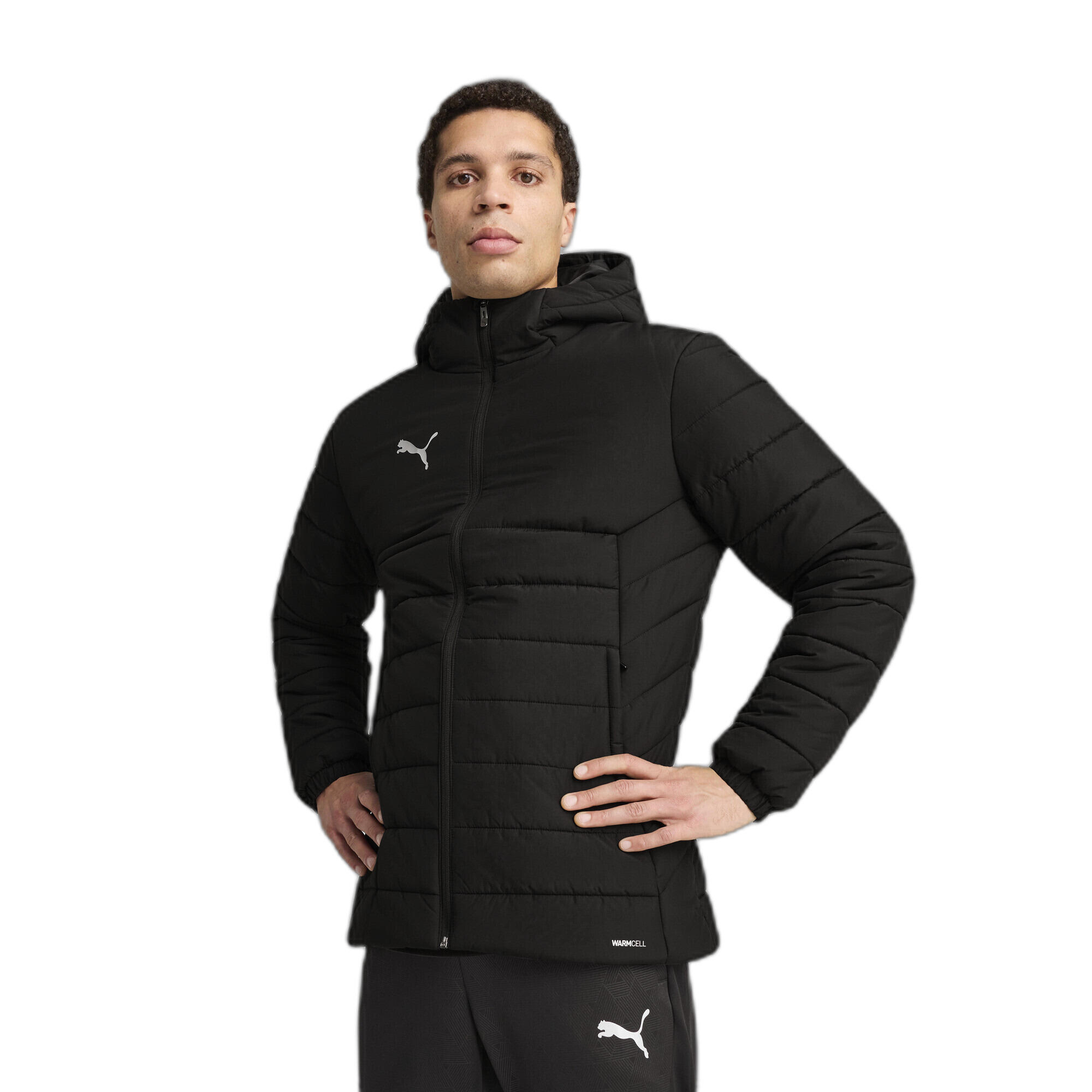 Survêtement Puma Teamadditions 2/7