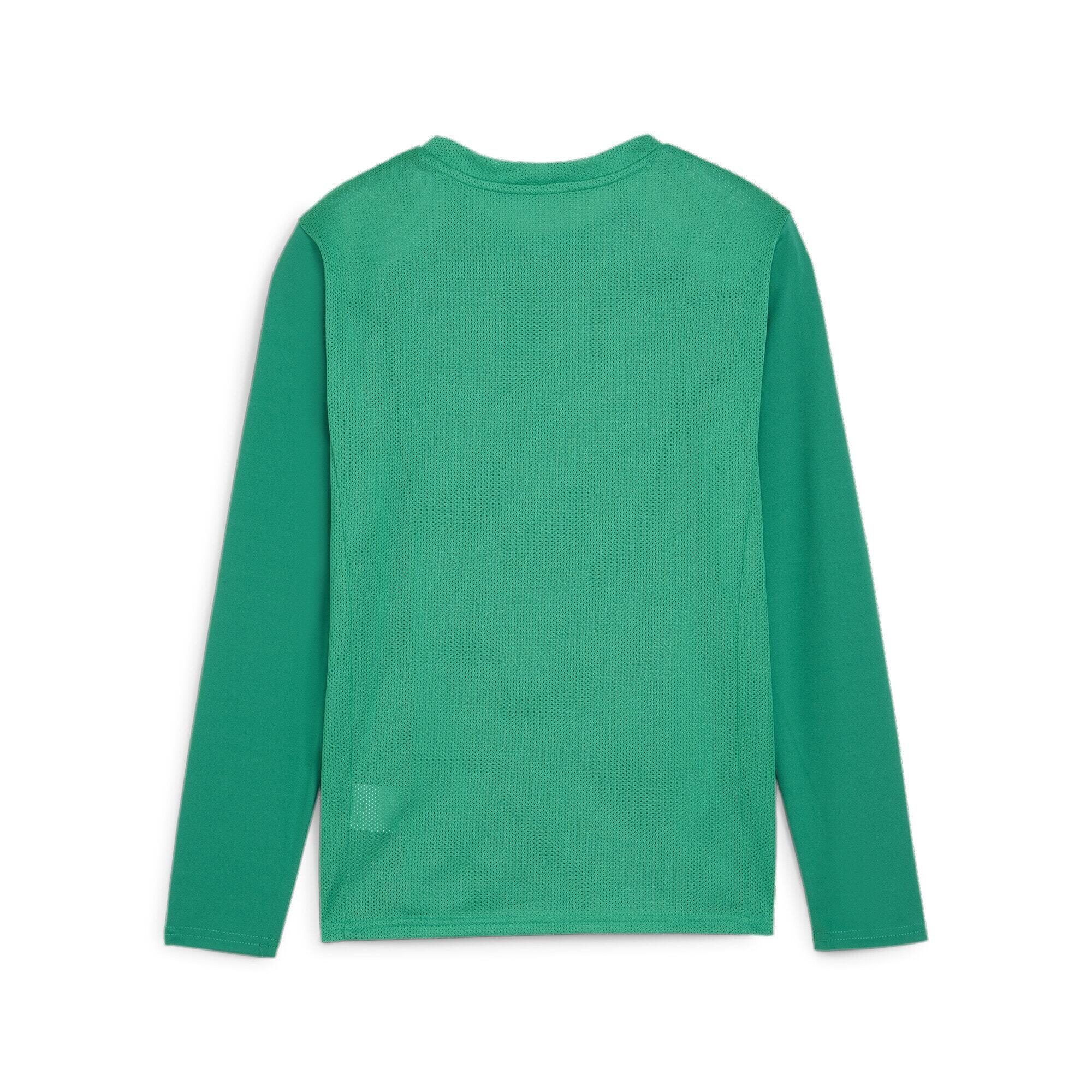 Maglia a maniche lunghe per bambini Puma TeamGoal 2/2