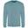 Camisola Unisexo para Adultos Lisos Seafoam