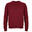 Hanorac Drumeții În Natură SOLS Columbia Crew Neck Adulți