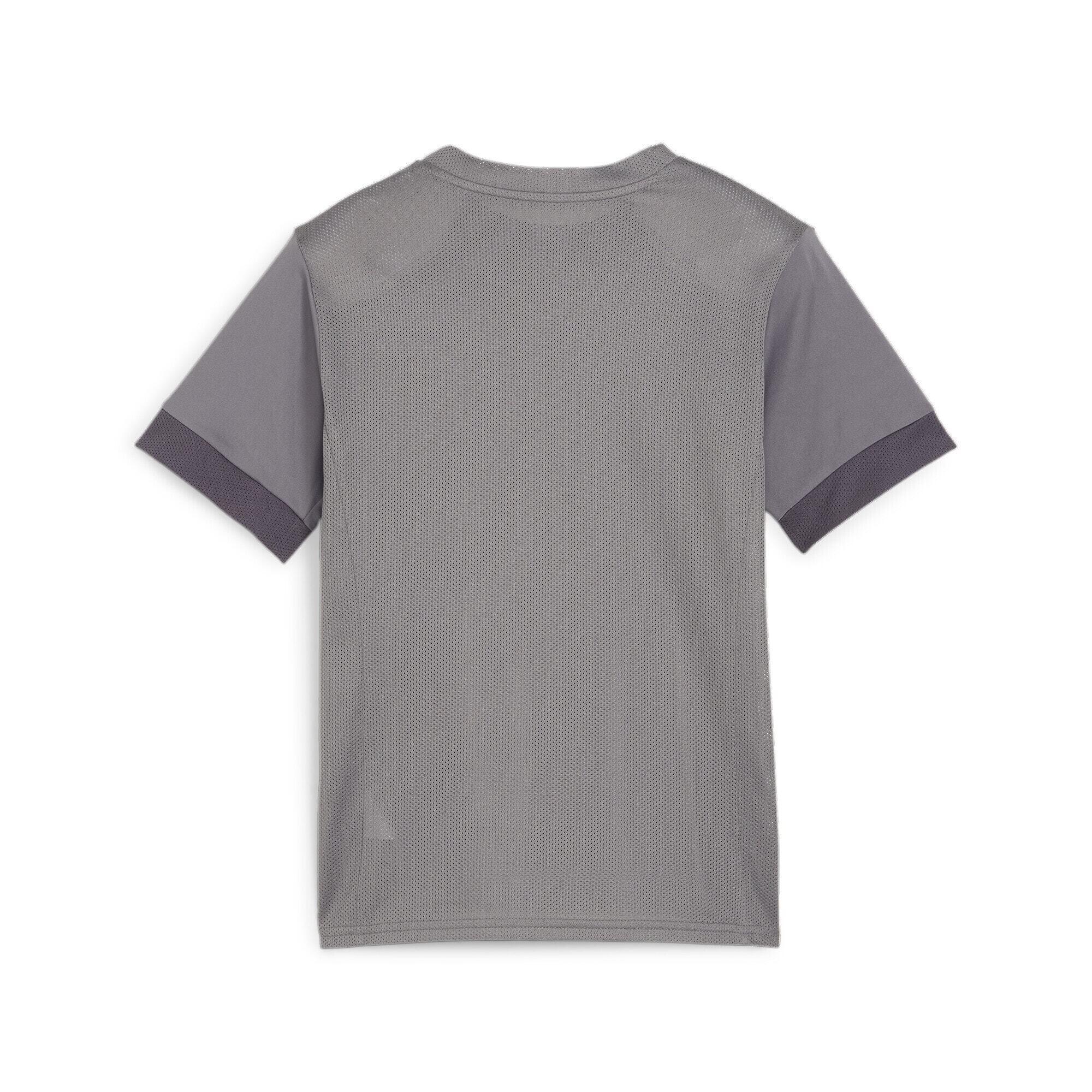 Maglia da allenamento per bambini Puma TeamGoal 2/2