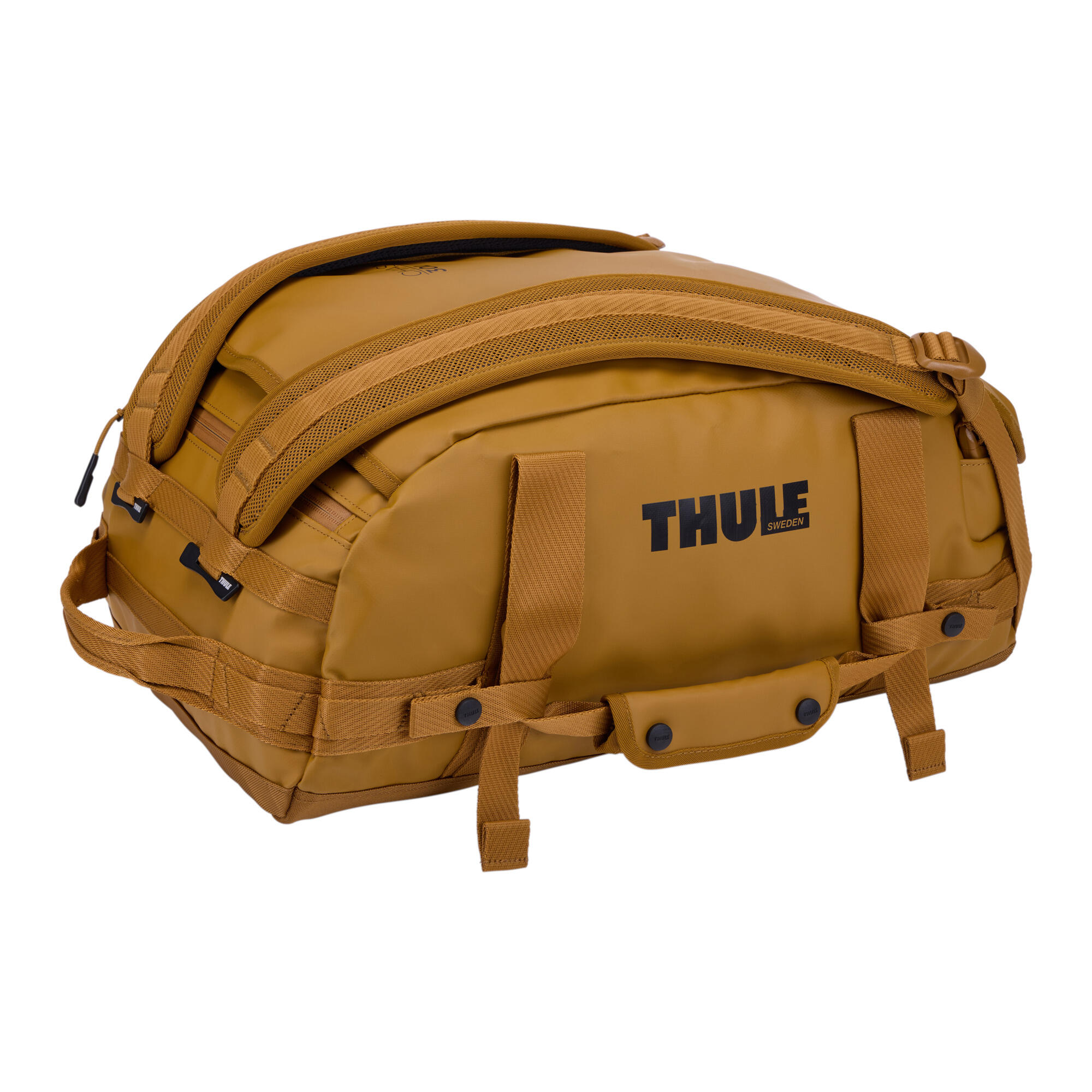 Reistassen Thule Chasm Golden 30 GOLD 30 L (Z132- VOLUME (LITER, ML, CC)) 2/6