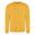 Camisola Unisexo para Adultos Lisos Dourado