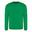 Camisola Unisexo para Adultos Lisos Kelly Green