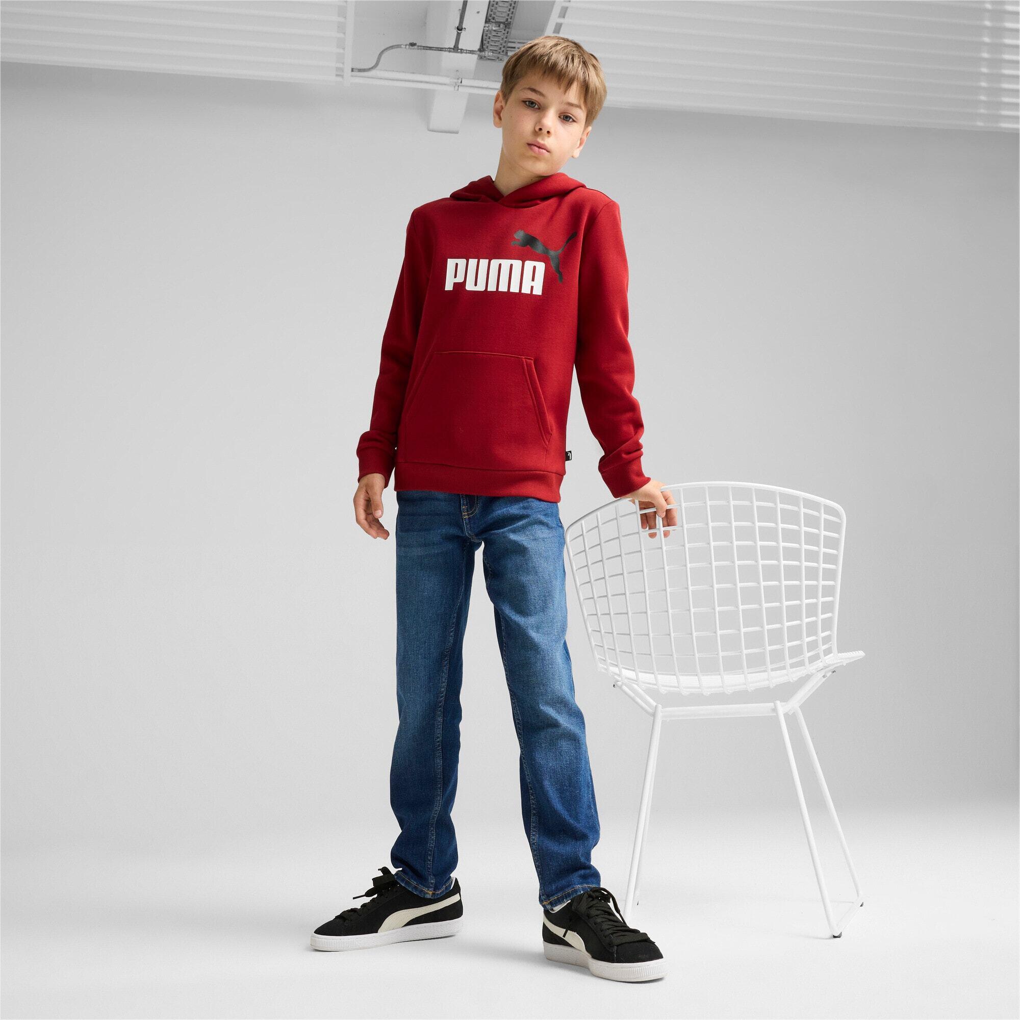 Sweatshirt à capuche bicolore enfant Puma Essentials+ Big Logo 2/4