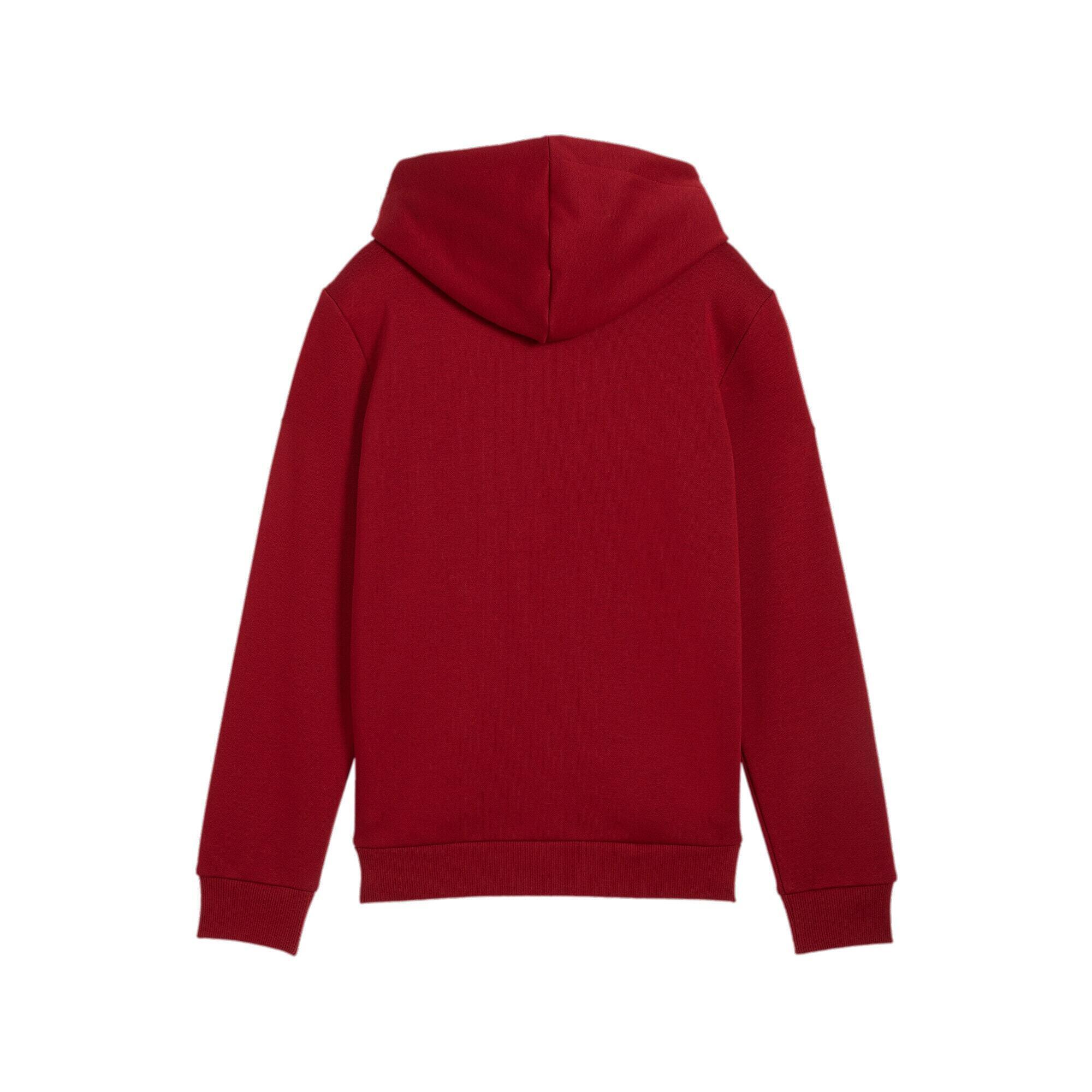 Sweatshirt à capuche bicolore enfant Puma Essentials+ Big Logo 4/4
