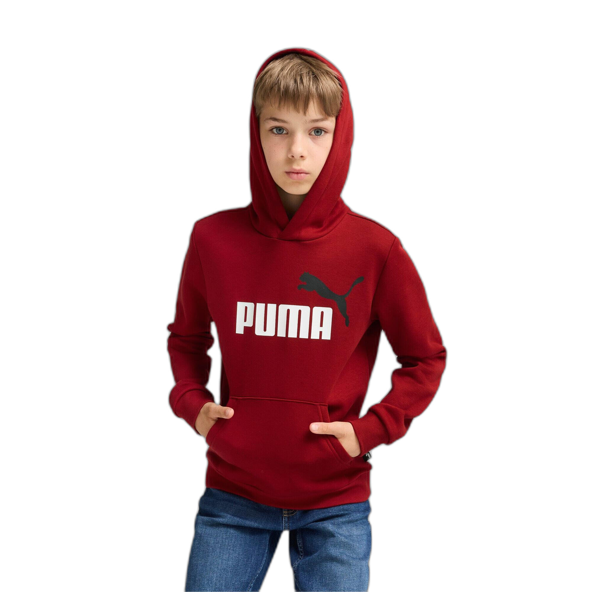 Sweatshirt à capuche bicolore enfant Puma Essentials+ Big Logo 3/4