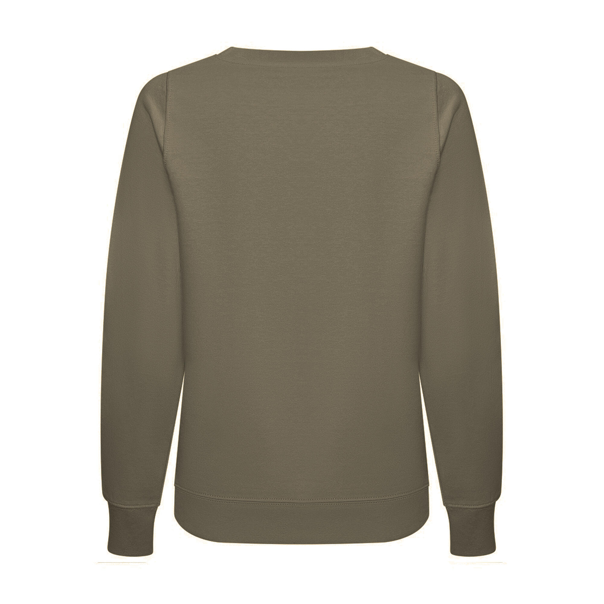Womens/Ladies Sweatshirt (Dusky Green) 2/2
