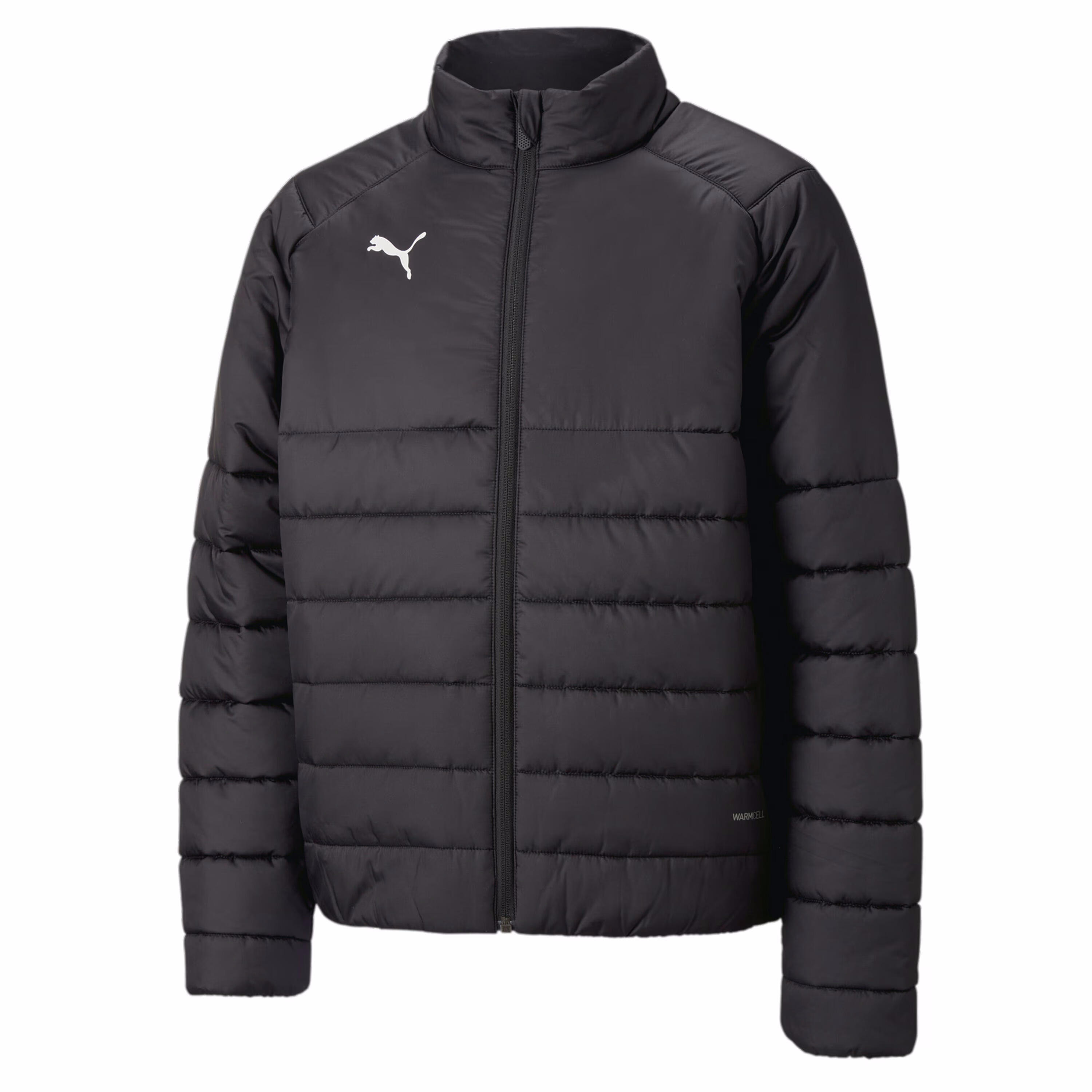PUMA picture