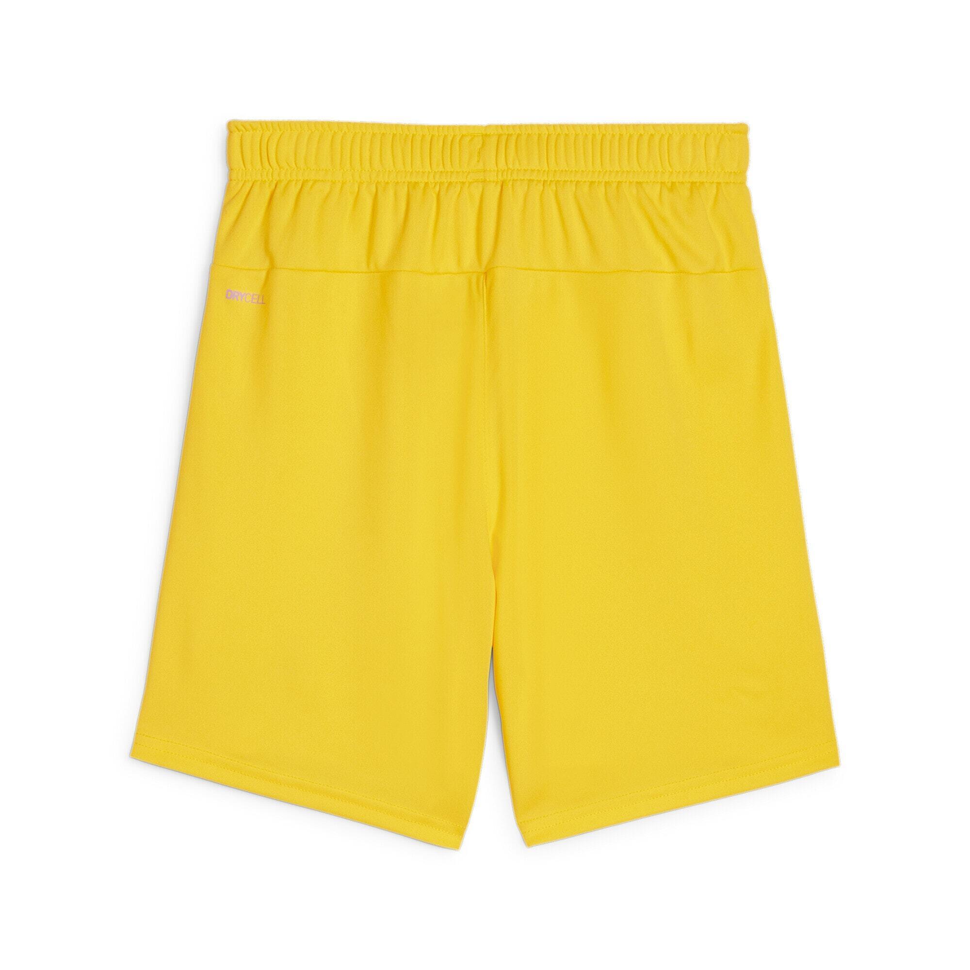 Short enfant Puma TeamGoal 2/2
