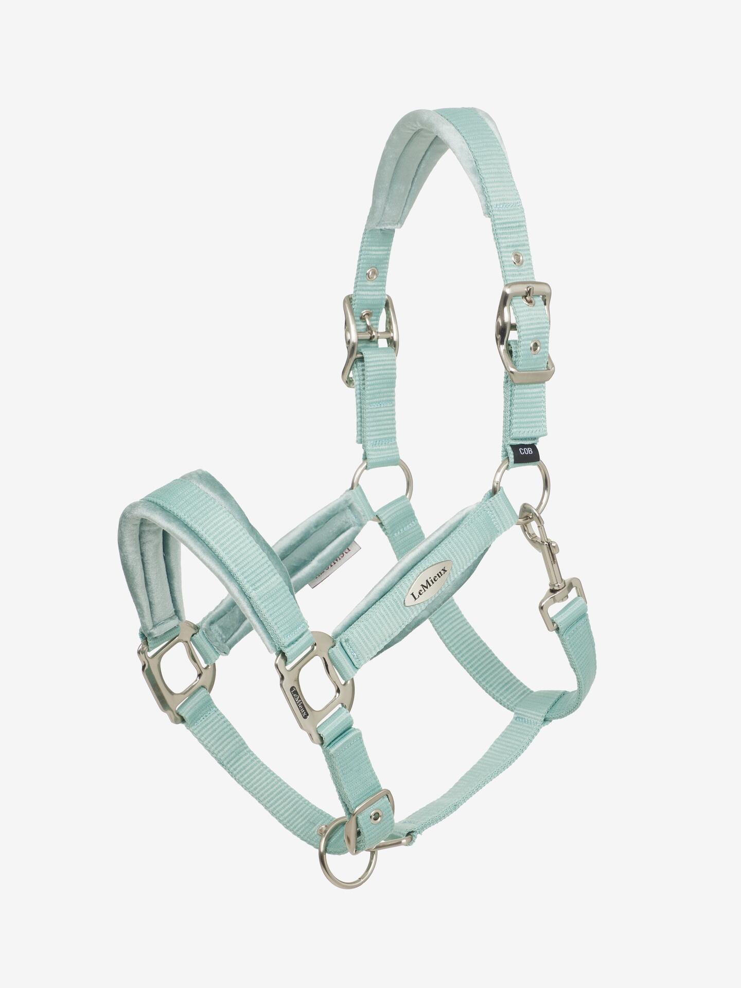 LEMIEUX Lemieux Versailles Halster Ss25 Blauw