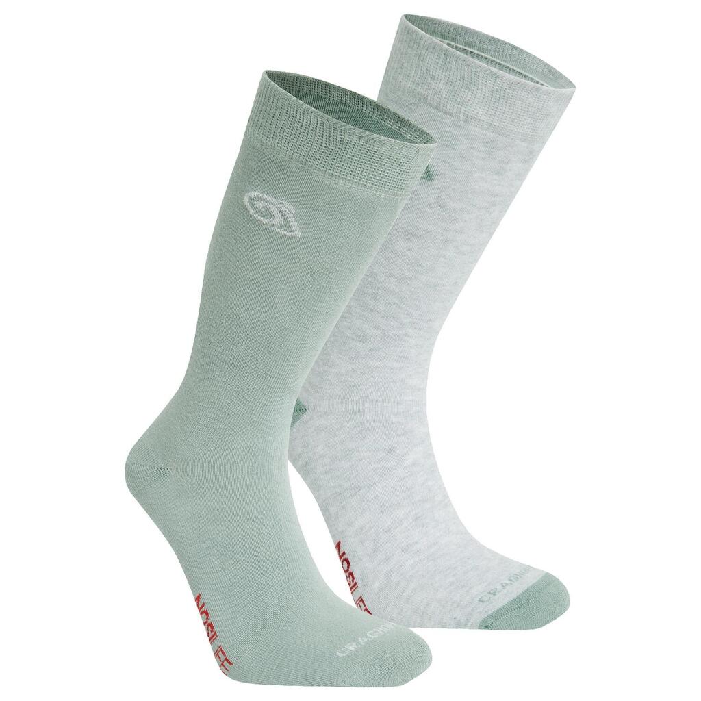 GREY / GREEN