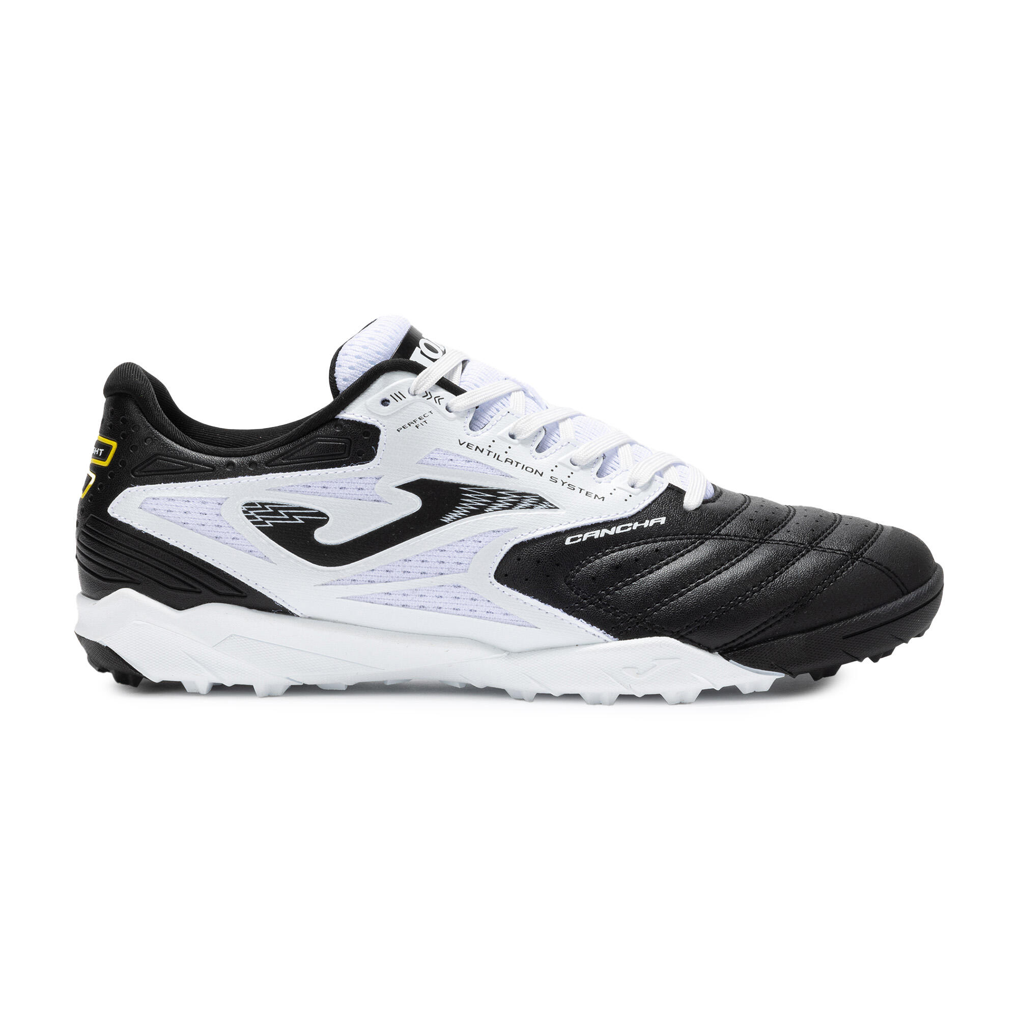 JOMA picture